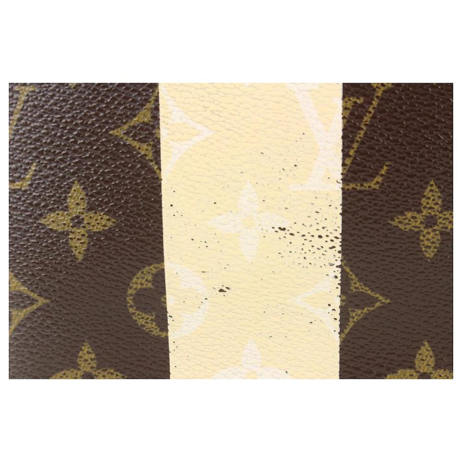 Louis Vuitton Rare Striped Monogram Rayures Neverfull MM Tote Leather  ref.418925 - Joli Closet