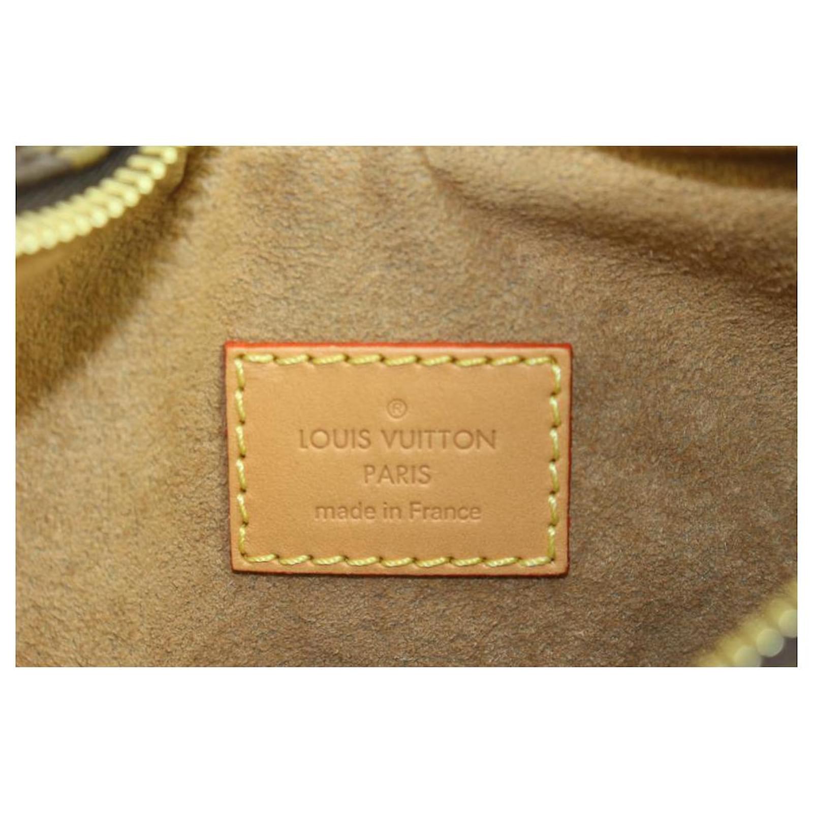 Louis Vuitton Rare Monogram Loop Chain Hobo Crossbody Croissant Bag Leather  ref.425220 - Joli Closet