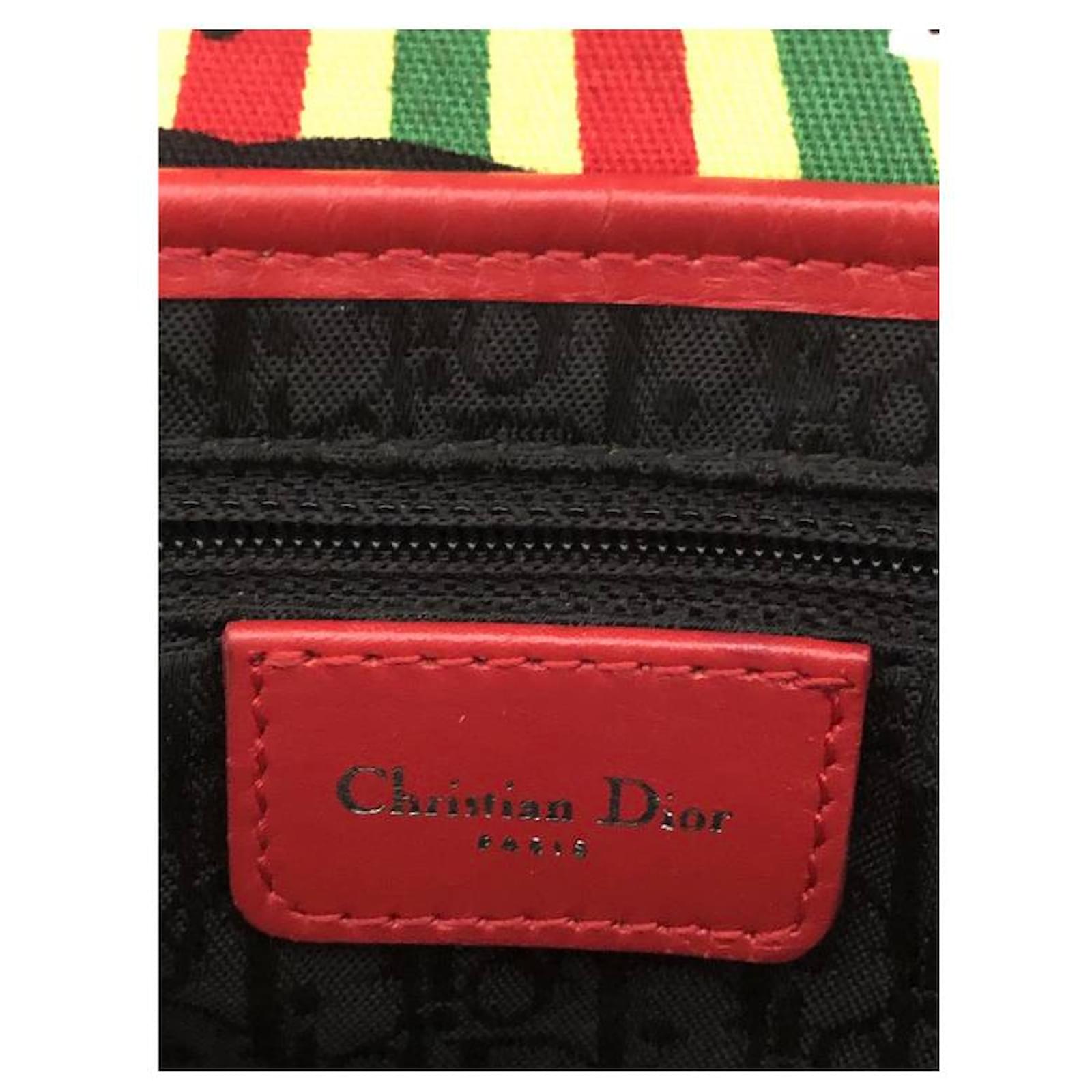 Dior Rasta Mania Saddle Bag Multiple colors Leather Cloth ref.380896 - Joli  Closet