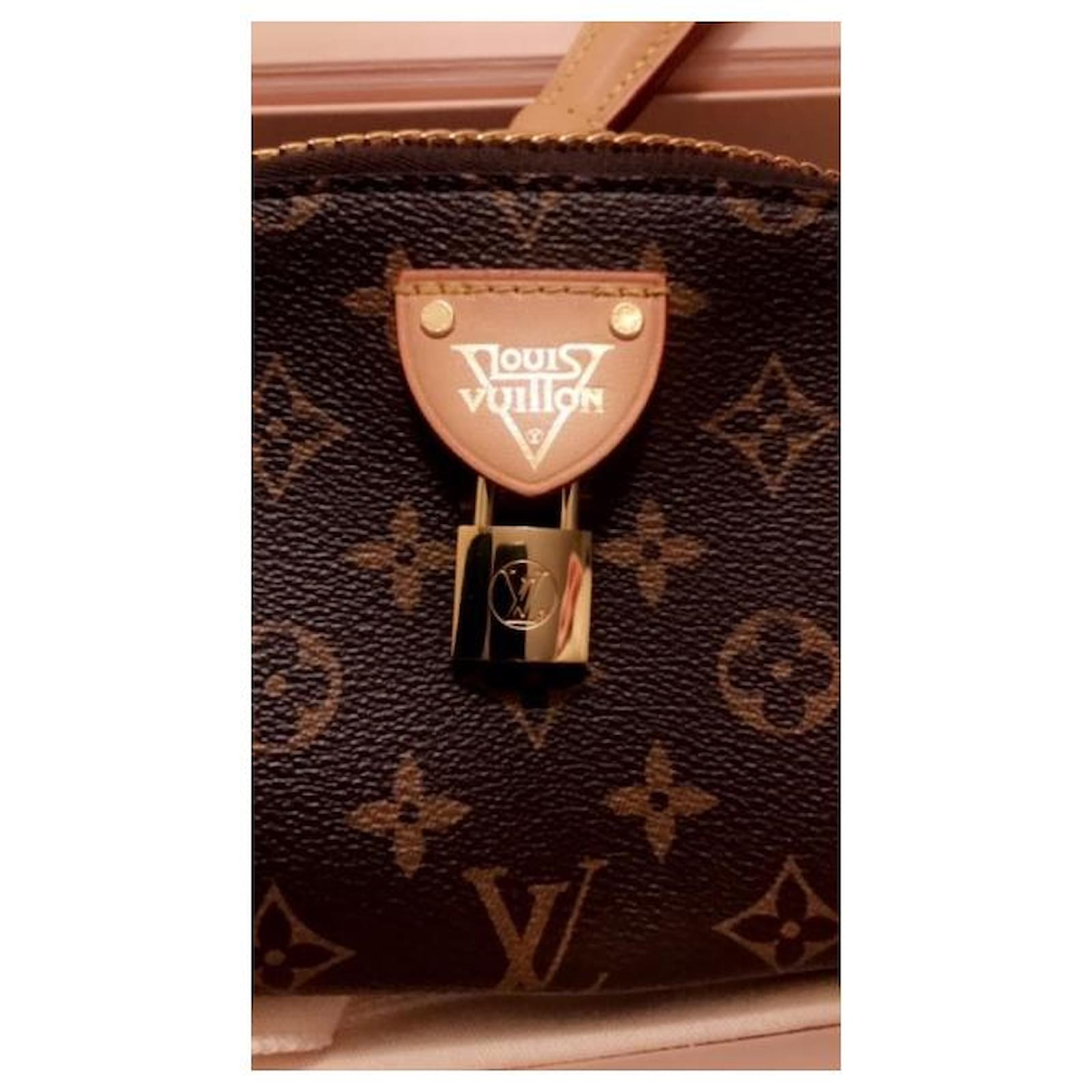 Louis Vuitton Brown LV Moon Bag Gold hardware ref.443397 - Joli Closet