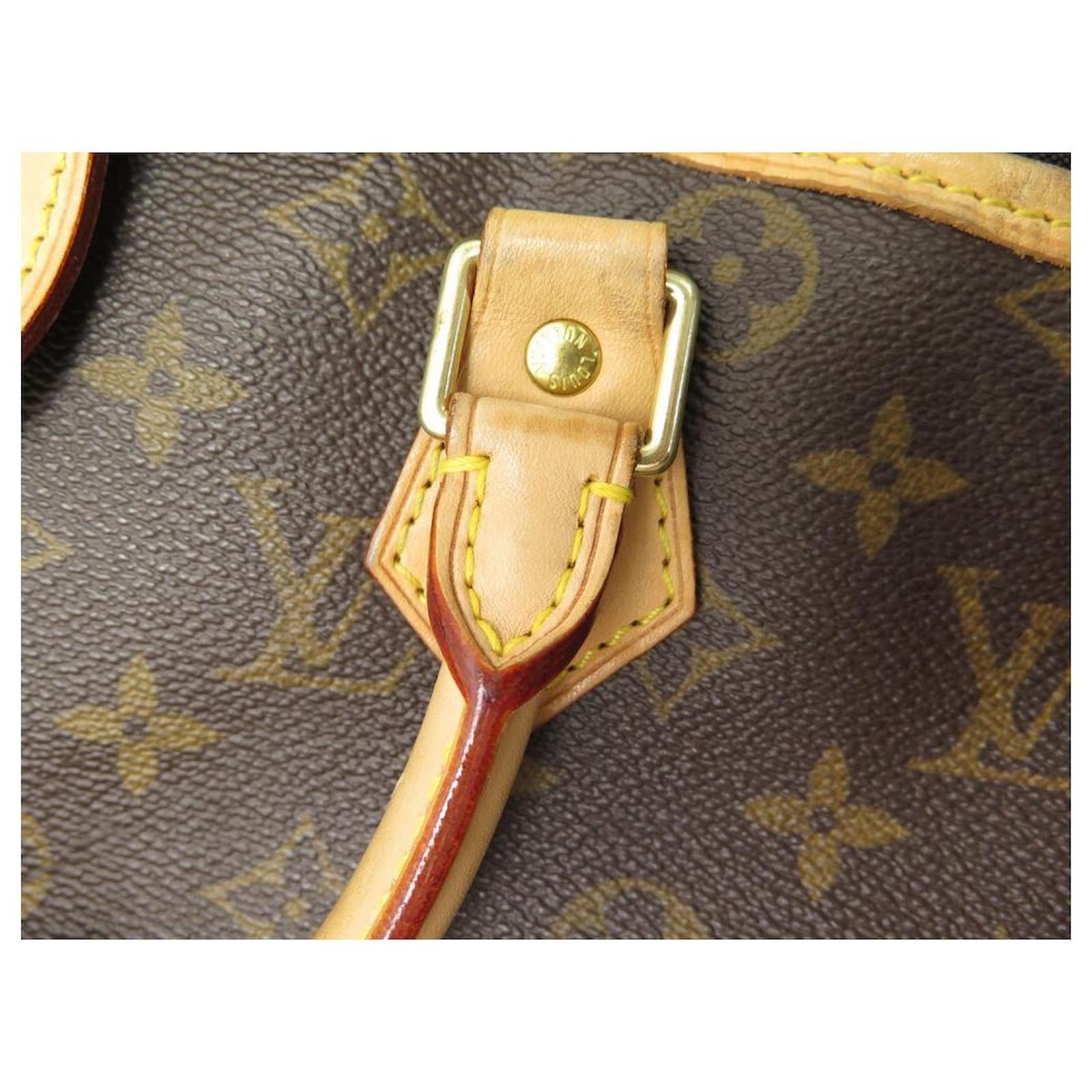 Louis Vuitton Garment Cover Brown Cloth ref.182886 - Joli Closet
