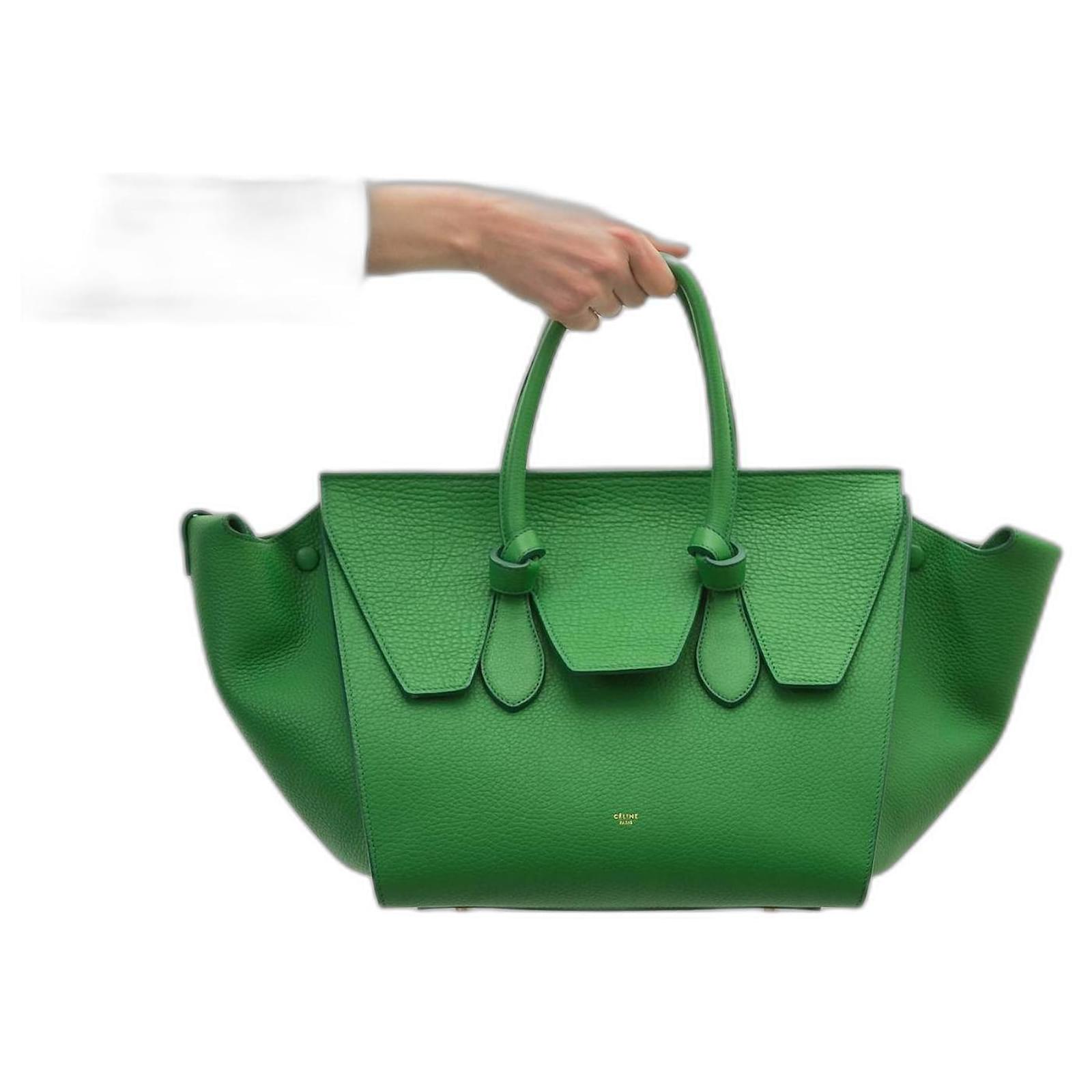 Tie Bag Céline Celine bag Green ref.452732 Joli Closet