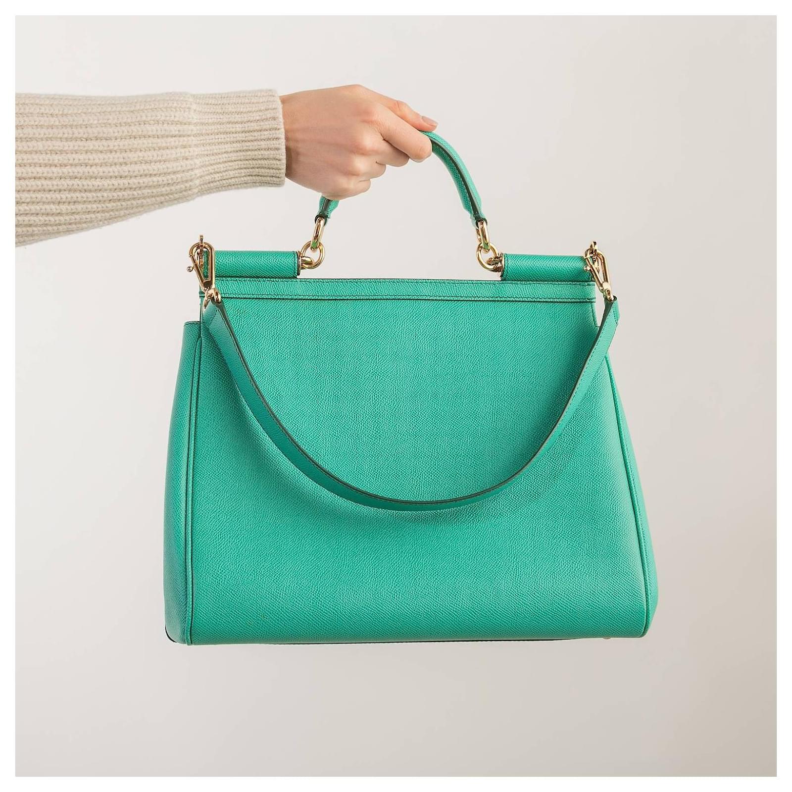 Dolce & Gabbana BAG Green ref.453447 - Joli Closet