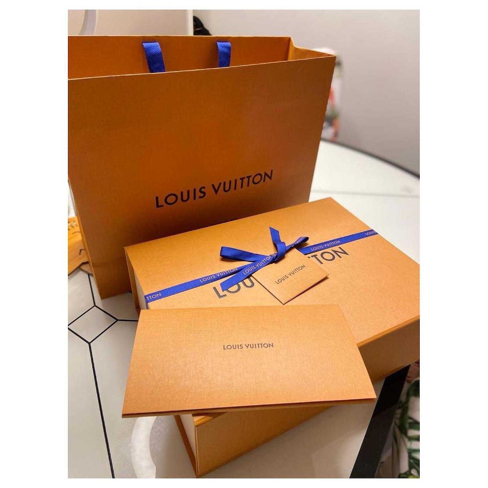 Louis Vuitton Sac banane LV cuir gris ref.503566 - Joli Closet