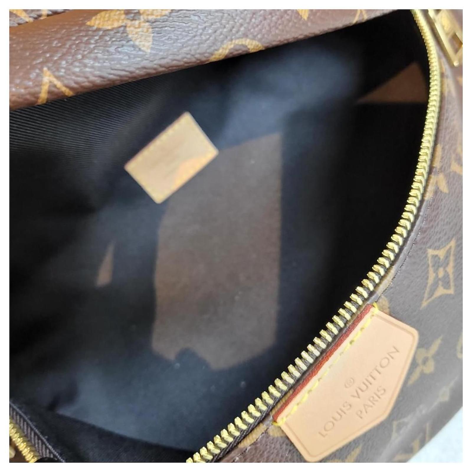 Louis Vuitton Canvas Monogram Bumbag Brown Leather ref.472052