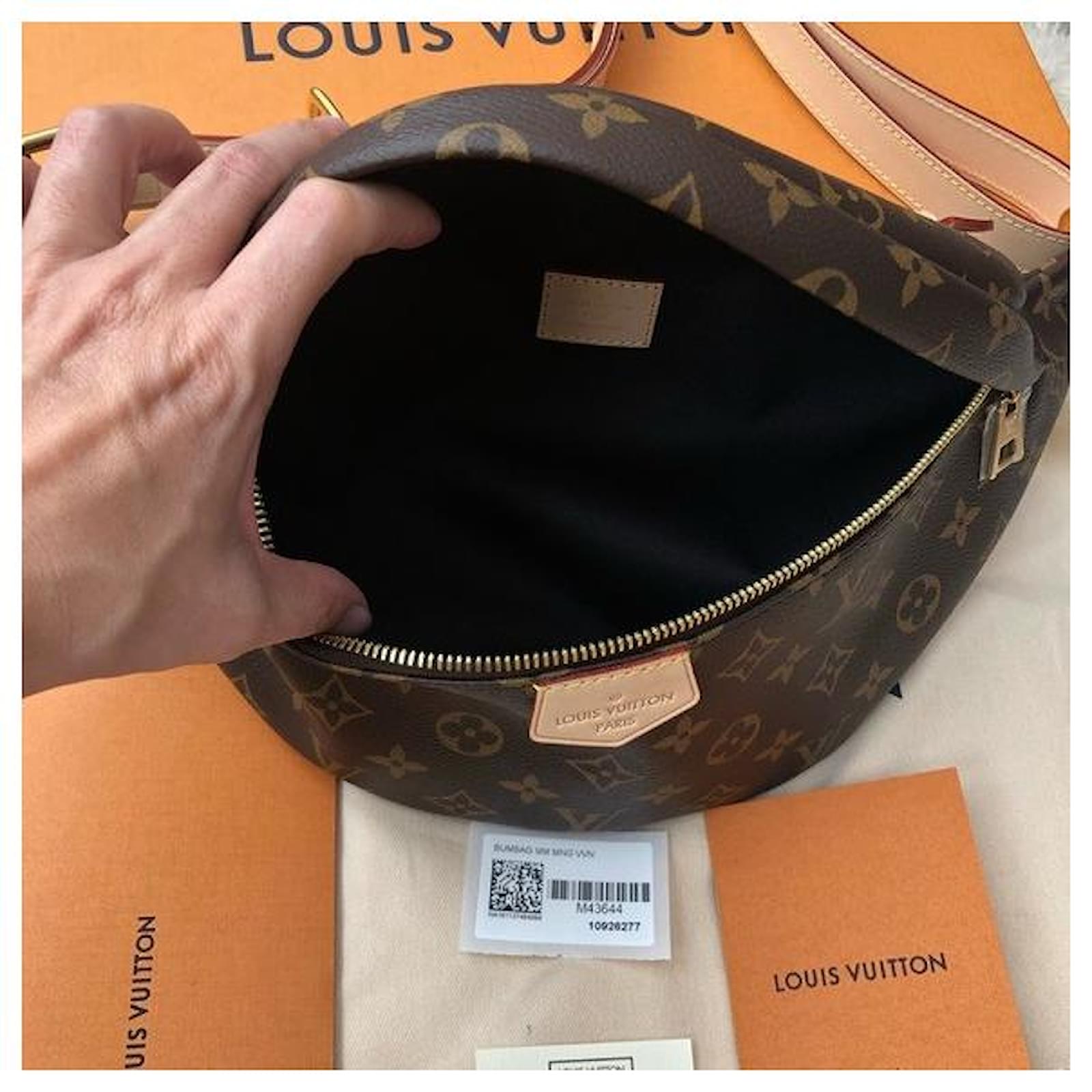 LOUIS VUITTON Monogram bum bag M43644 Waist pouch from Japan