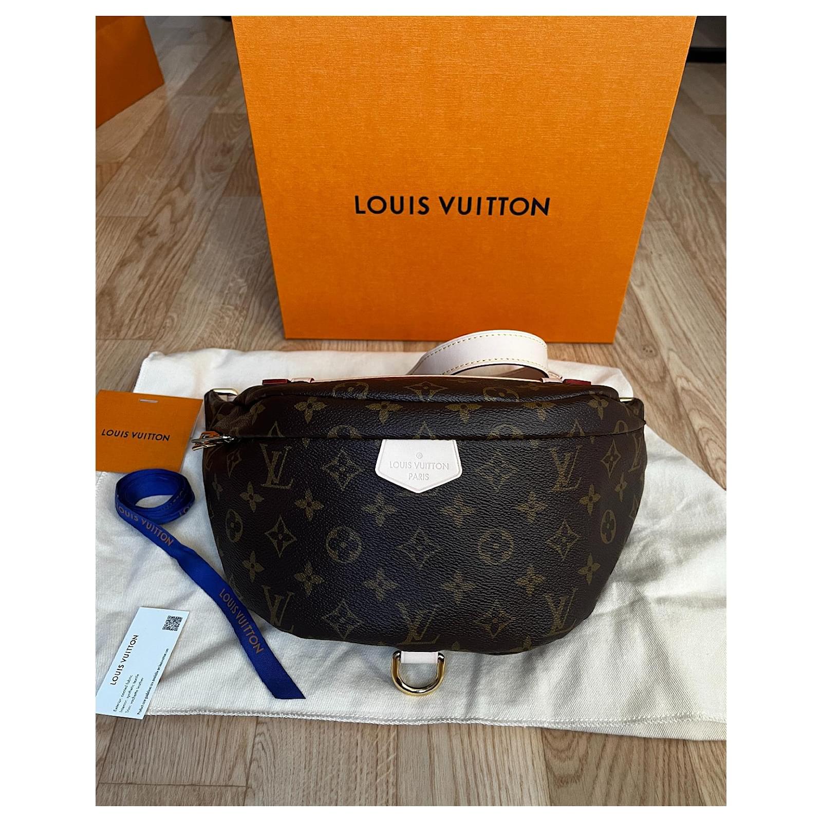 Louis Vuitton LV bumbag Brown ref.175278 - Joli Closet