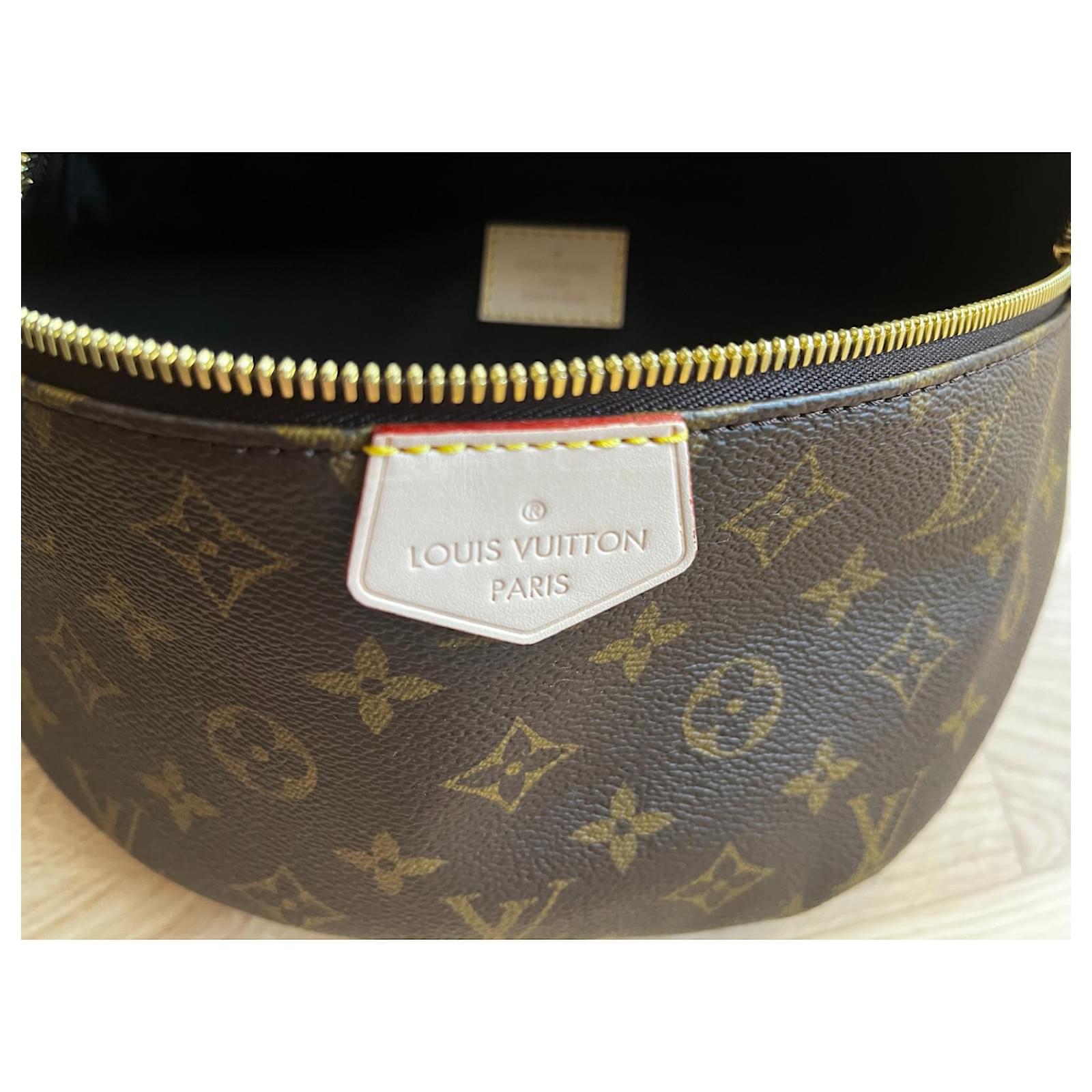 Cloth belt bag Louis Vuitton Brown in Cloth - 34678424