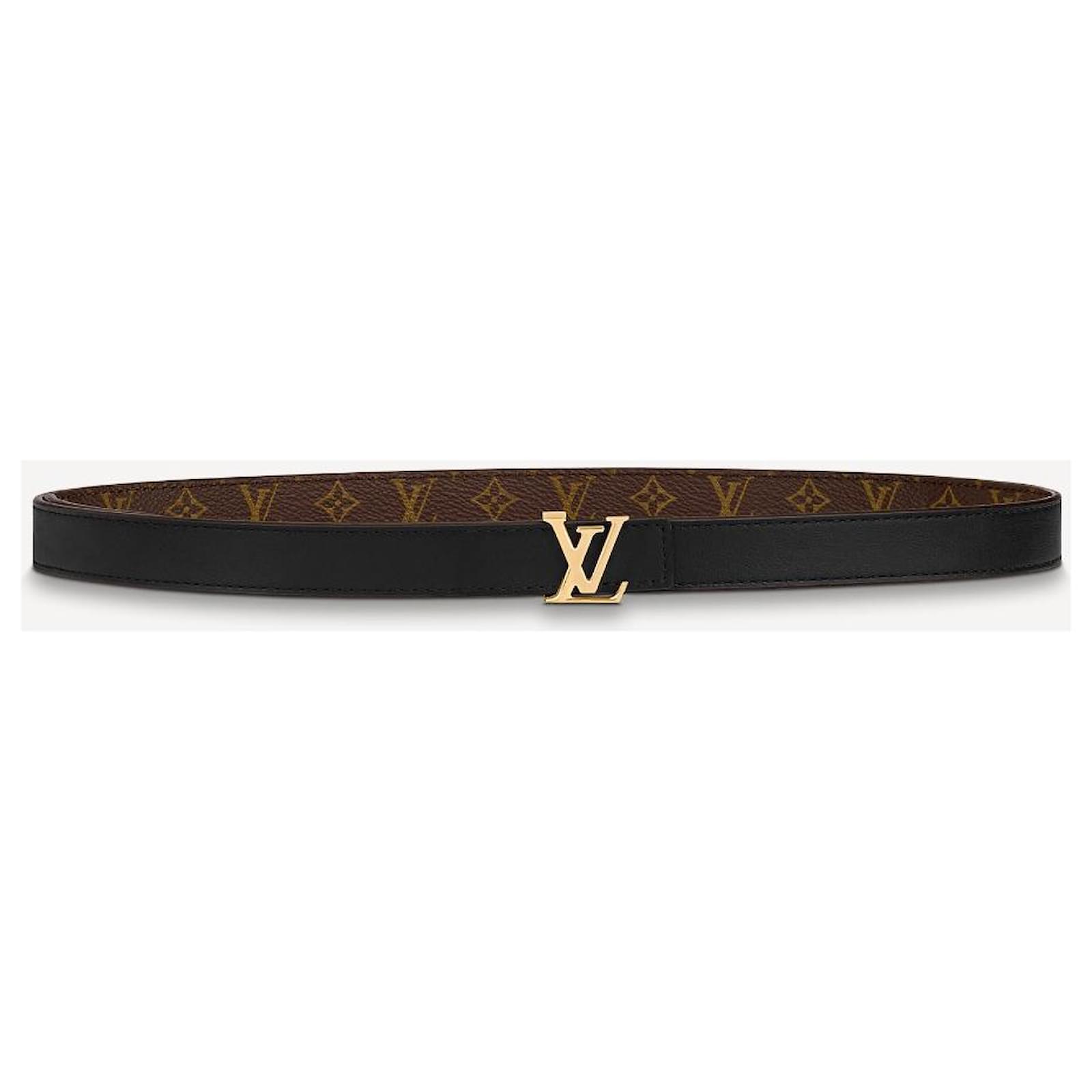 Louis Vuitton LV Iconic Belt 25 mm Reversible Brown Cloth ref