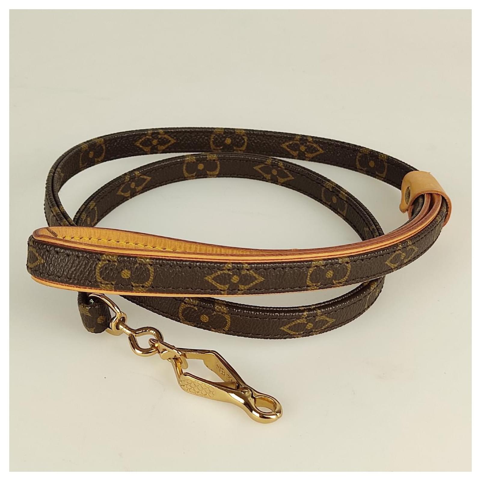 Altri gioielli Louis Vuitton guinzaglio per cani Marrone Tela ref.492231 -  Joli Closet