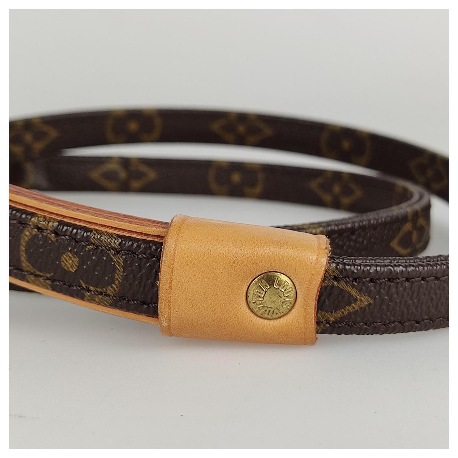 Altri gioielli Louis Vuitton guinzaglio per cani Marrone Tela ref.492231 -  Joli Closet