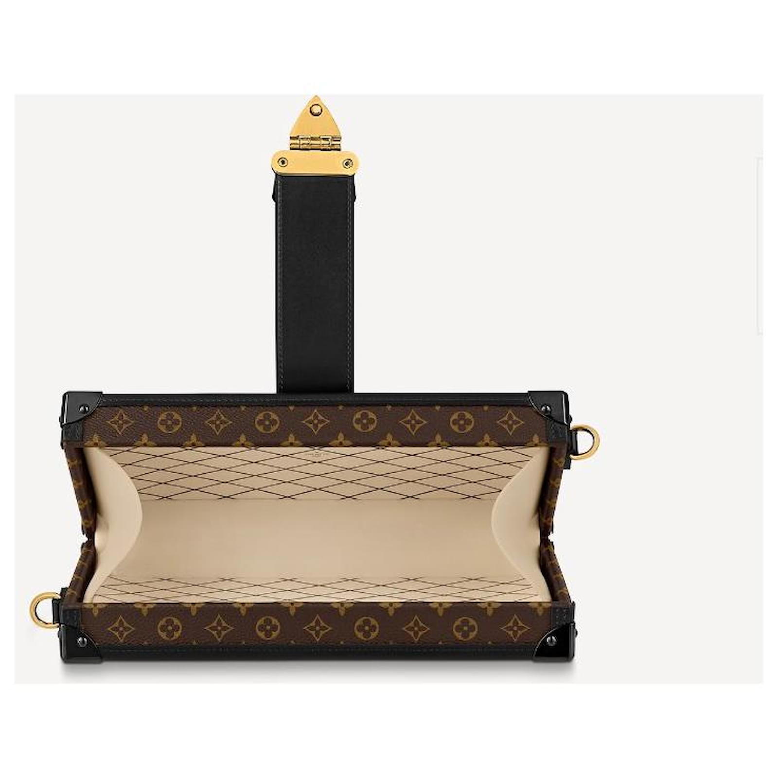 Louis Vuitton LV Petite Malle East West bag Brown Leather ref.506513 - Joli  Closet