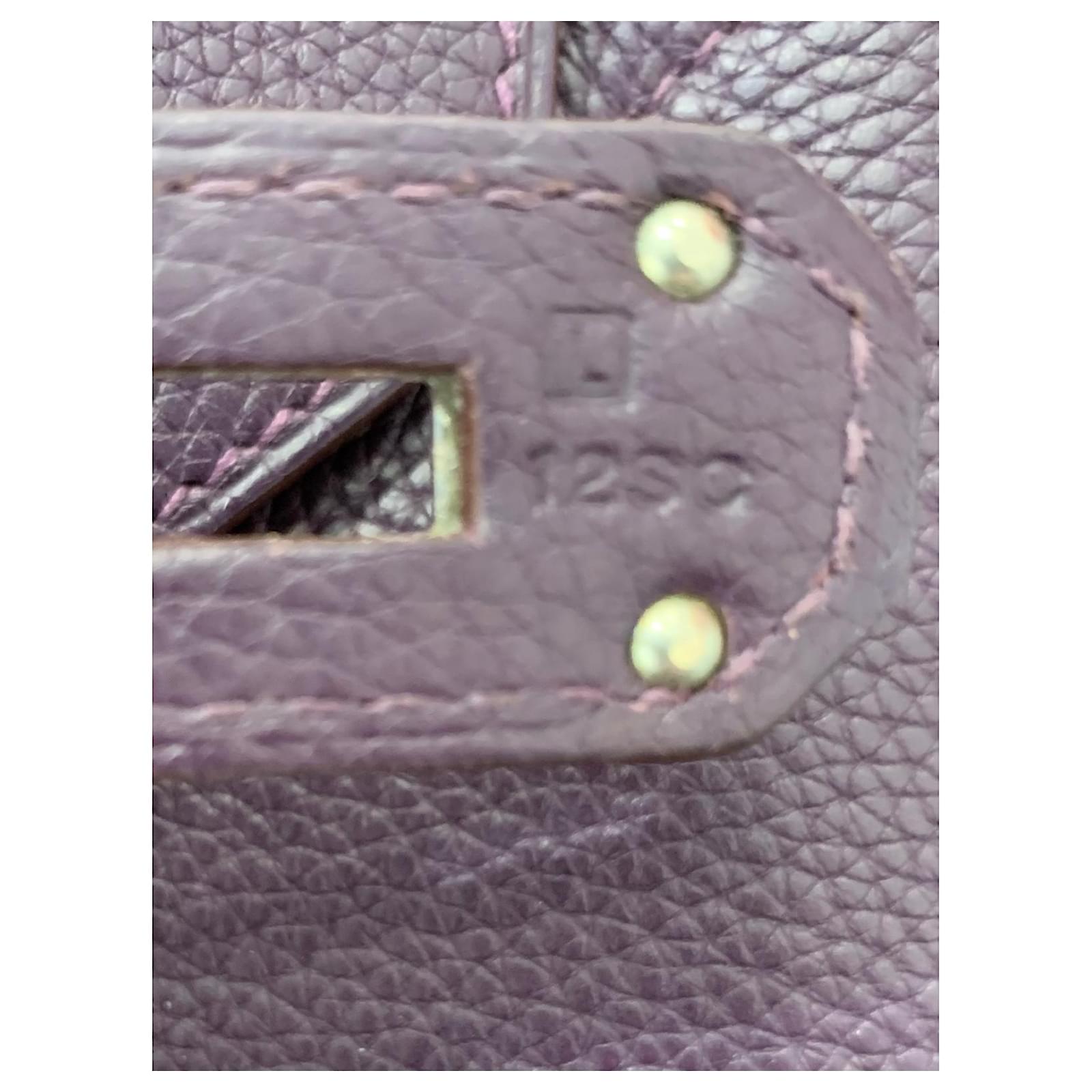 Birkin Hermès Travel bag Dark purple Leather ref.508795 - Joli Closet