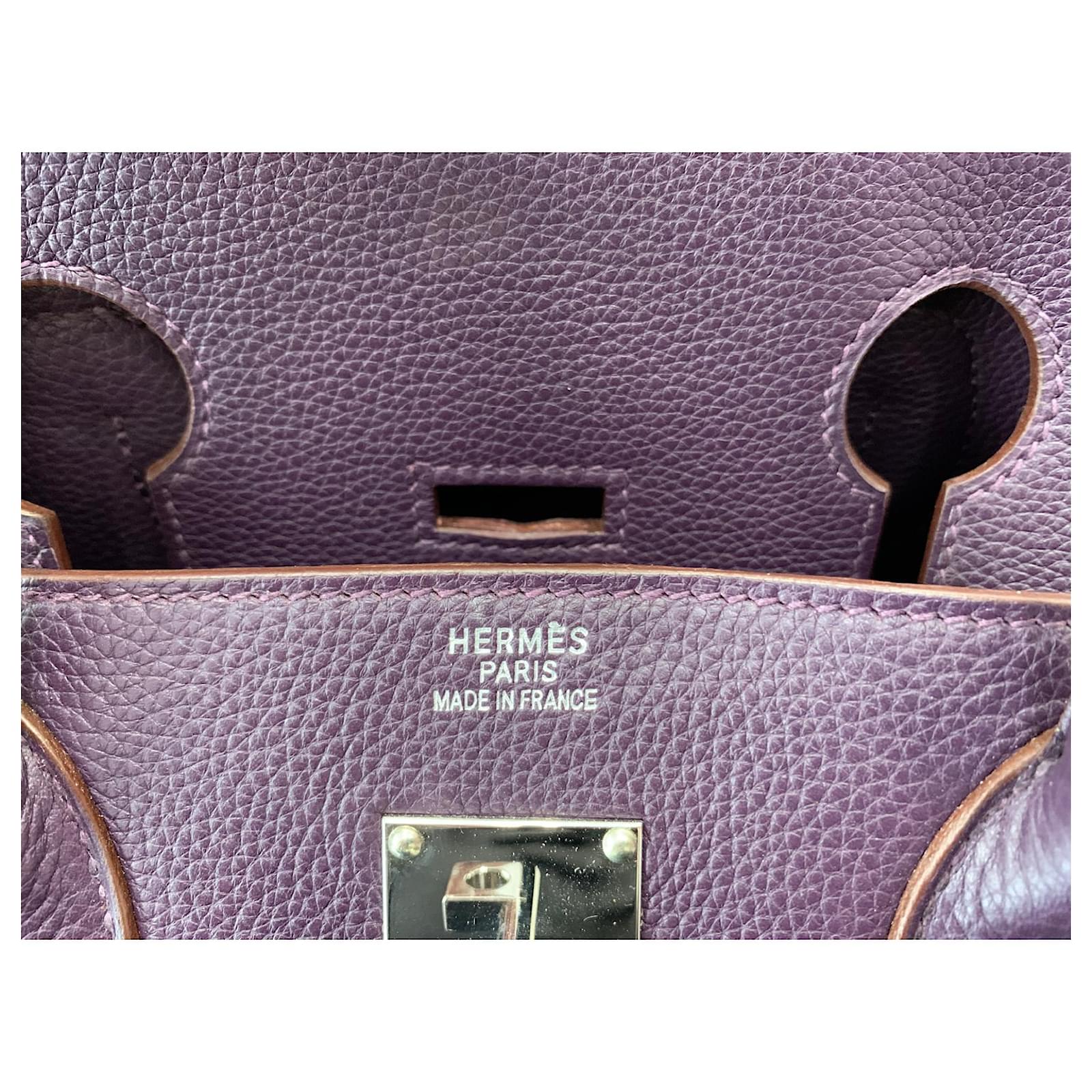 Birkin Hermès Travel bag Dark purple Leather ref.508795 - Joli Closet