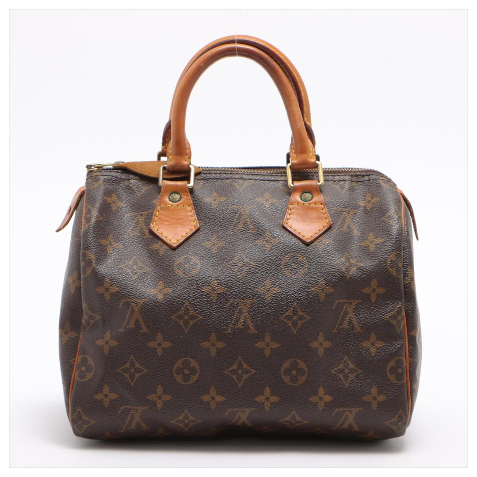 Louis Vuitton Speedy 25 Brown Cloth ref.905211 - Joli Closet
