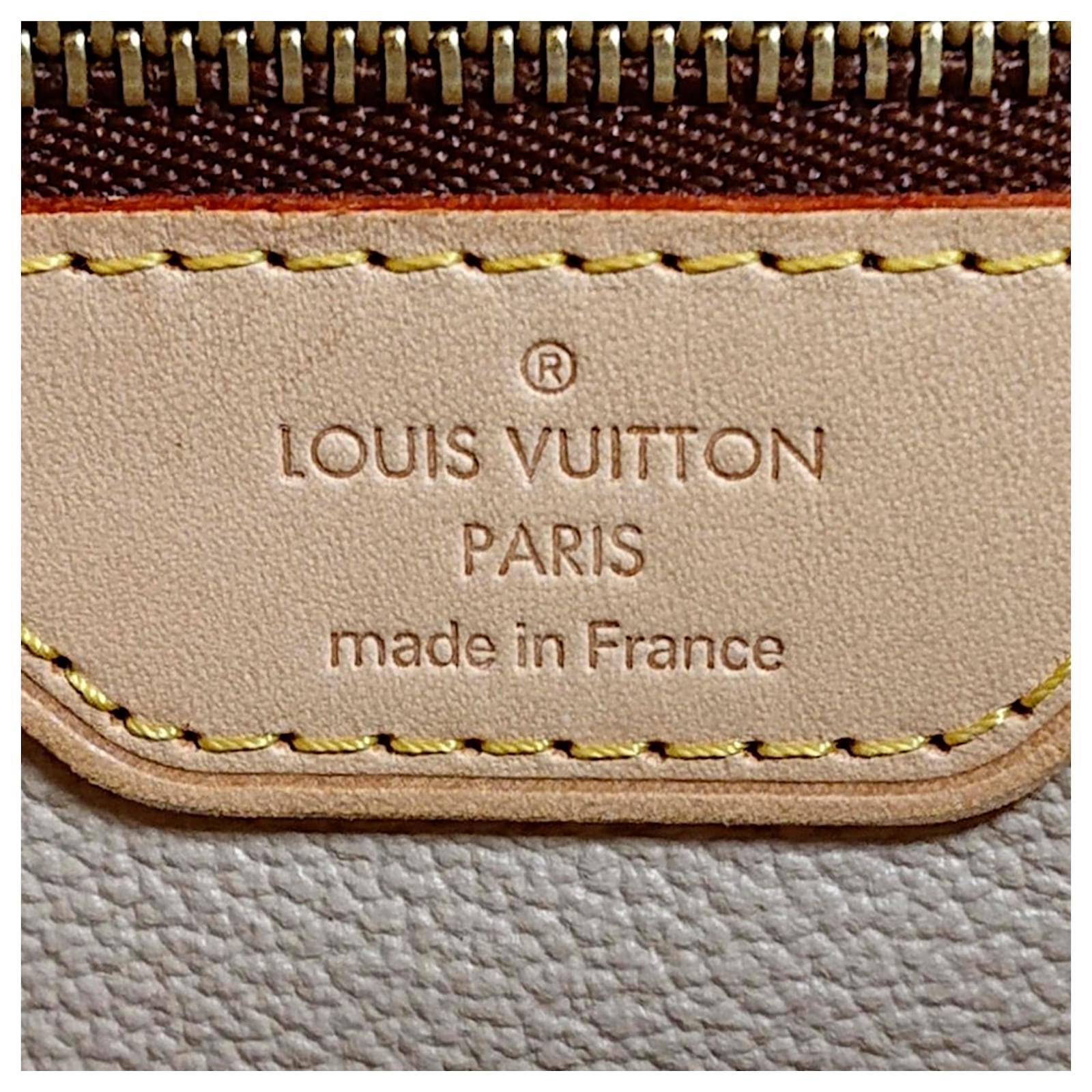 Louis Vuitton Brown Monogram Petit Bucket Leather Cloth ref.501265 - Joli  Closet
