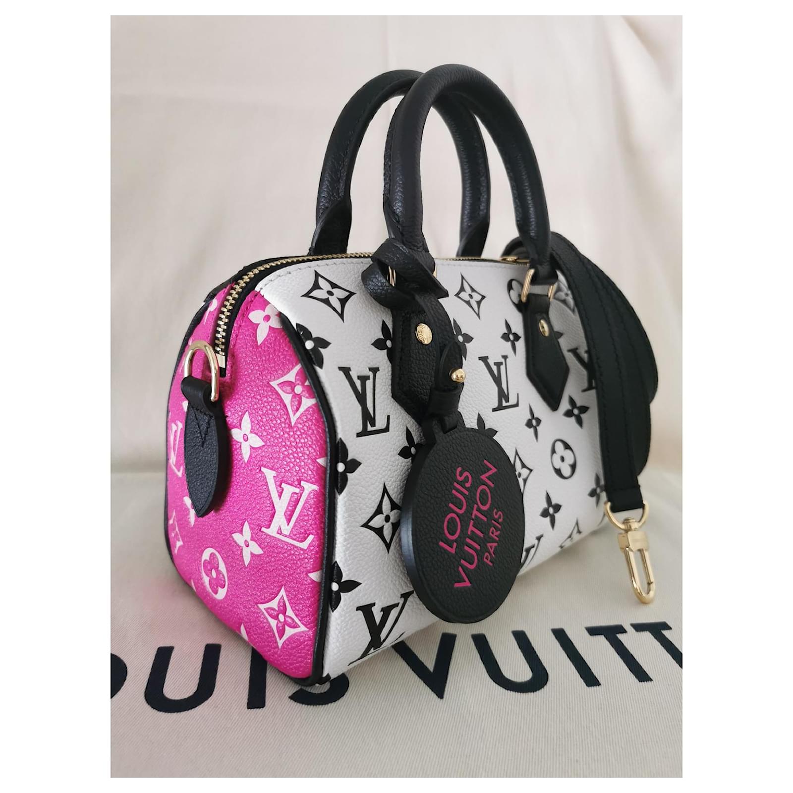 lv black and pink bag