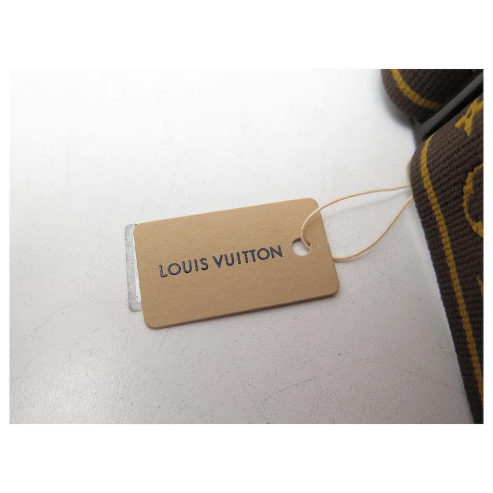 Lunettes masque Louis Vuitton Marron en Autre - 27824591