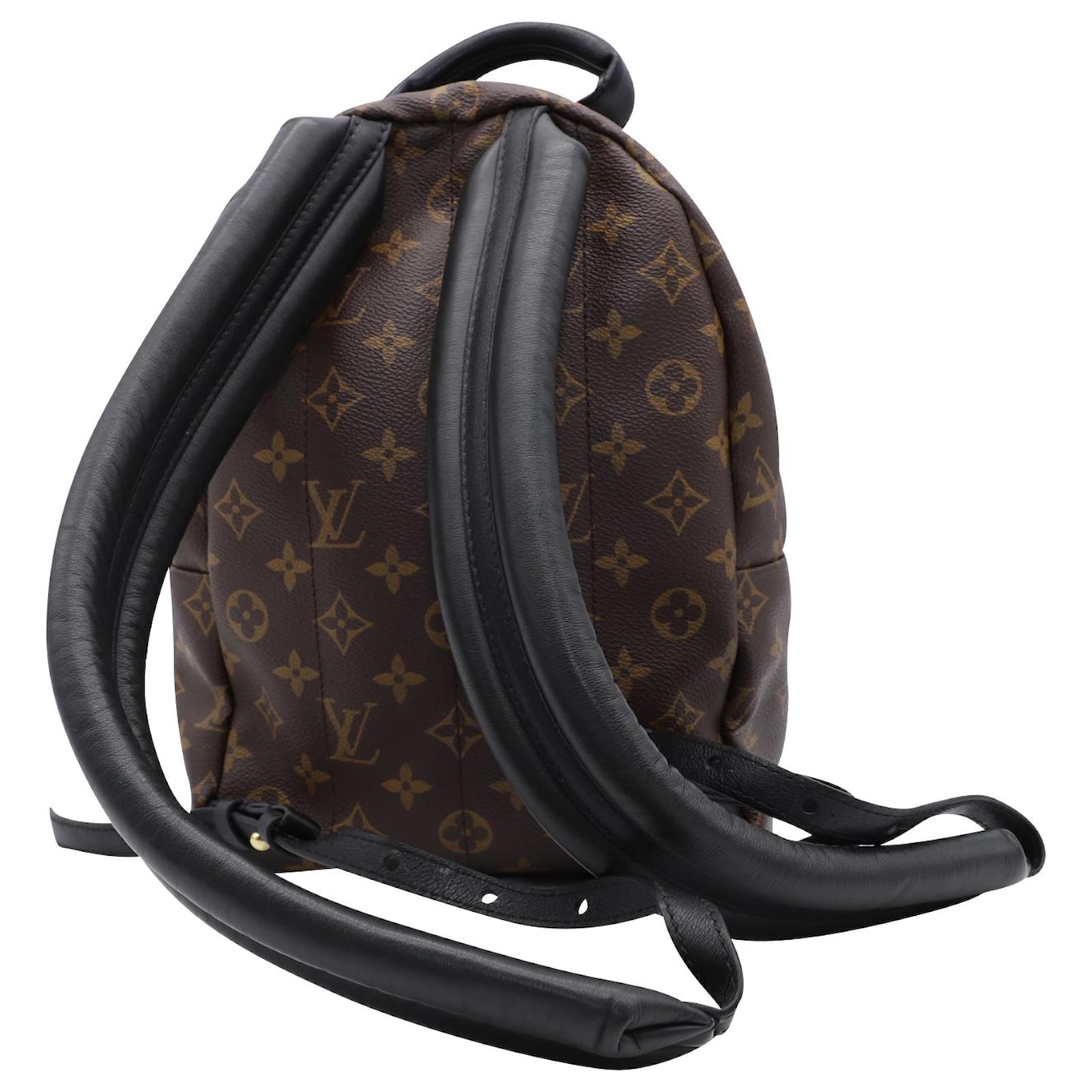 LOUIS VUITTON Damen Palm Springs Backpack aus Leder in Braun