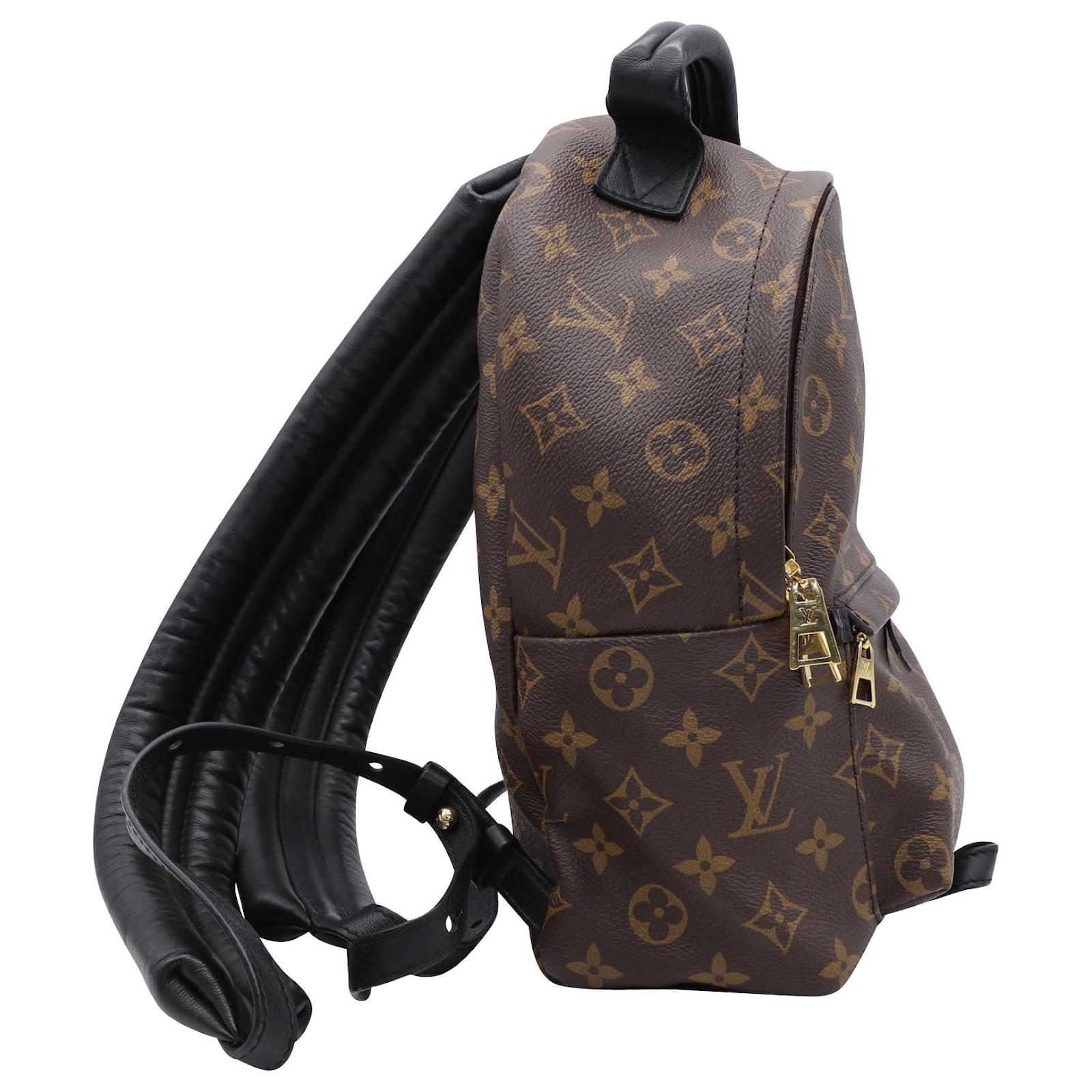 LOUIS VUITTON Damen Palm Springs Backpack aus Leder in Braun