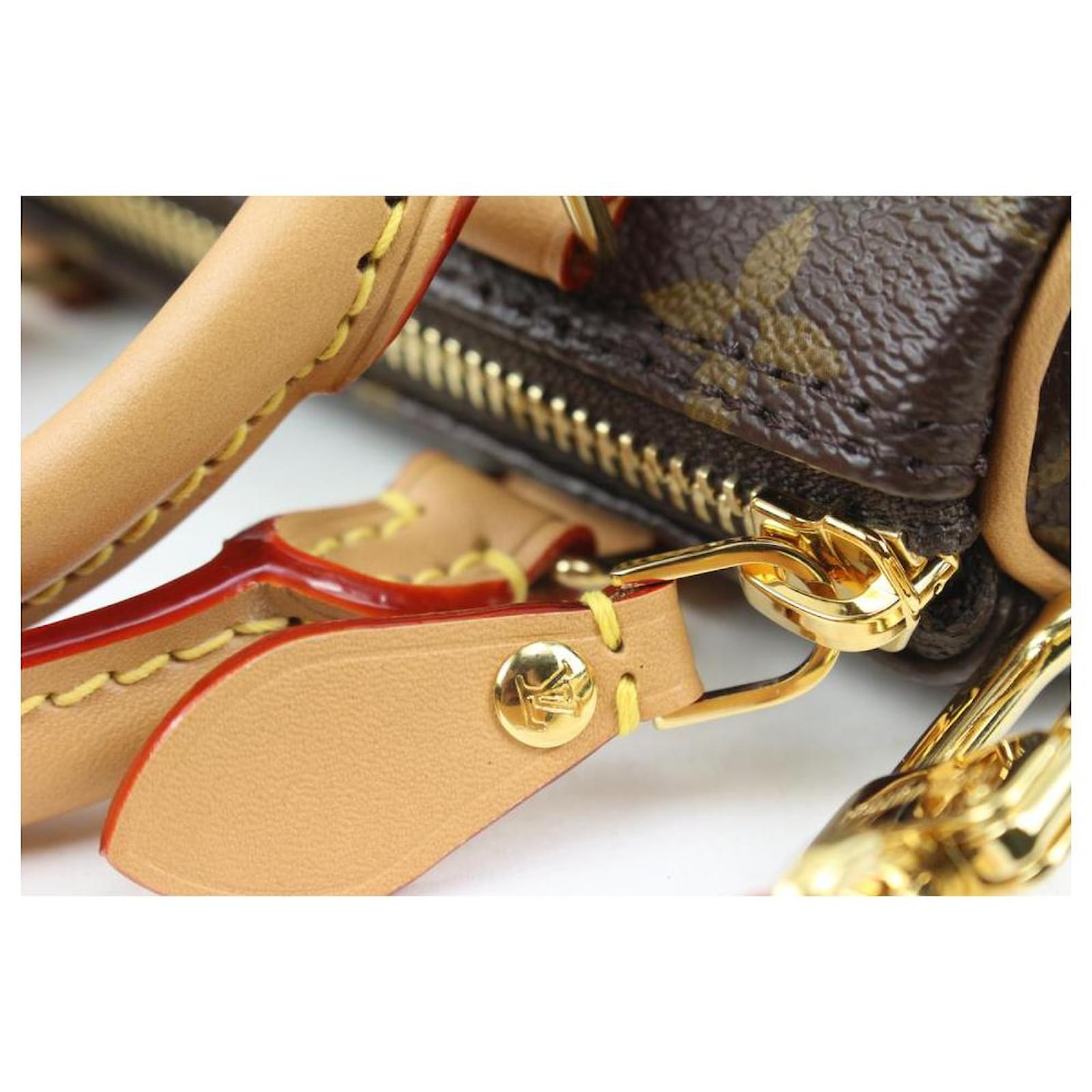 Louis Vuitton Monogram Nano Speedy Bandouliere Leather ref.567317 - Joli  Closet