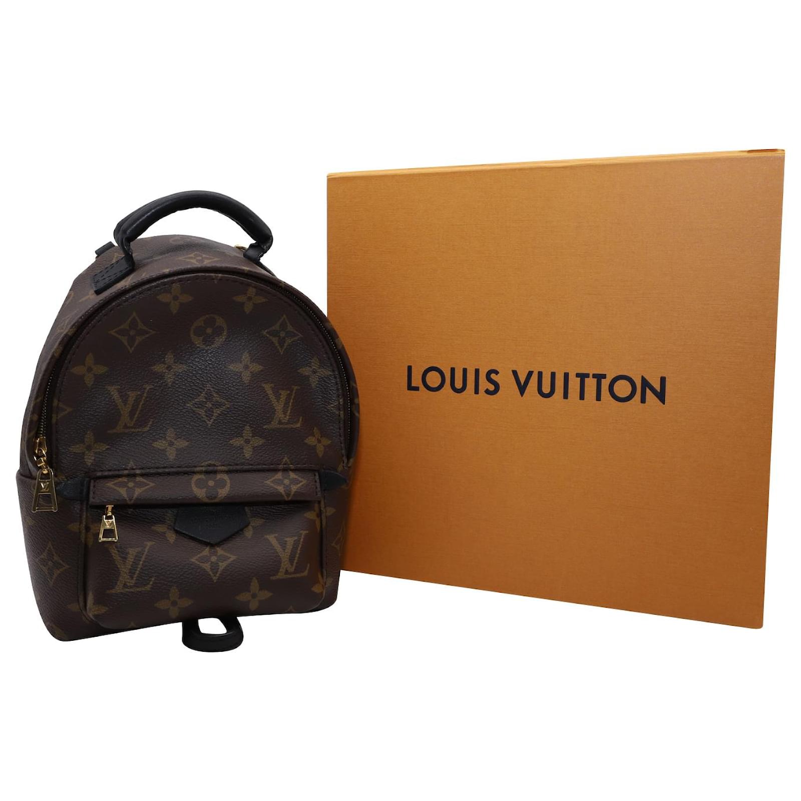 Twist Louis Vuitton Palm Springs Mini Backpack in Brown Leather