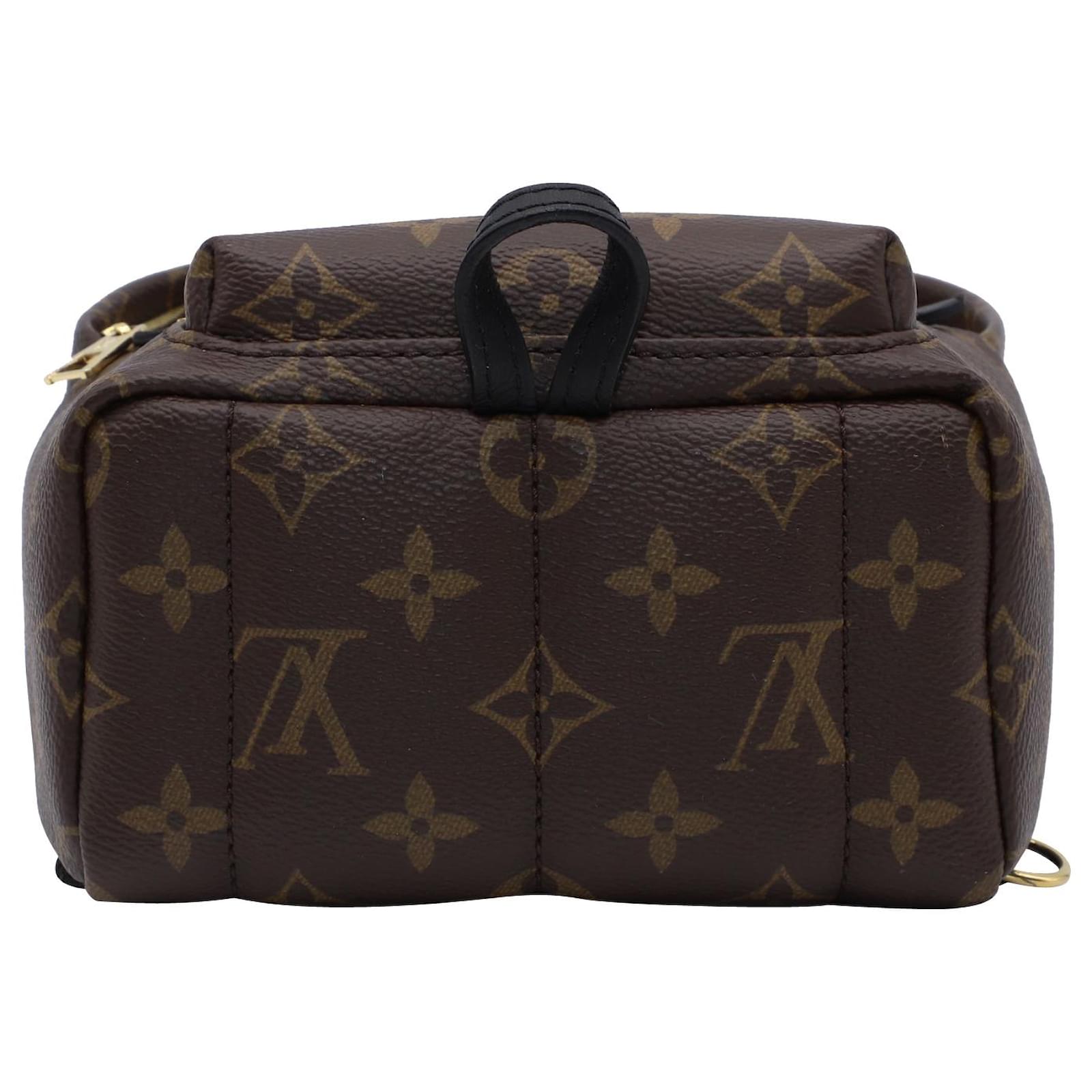 Twist Louis Vuitton Palm Springs Mini Backpack in Brown Leather