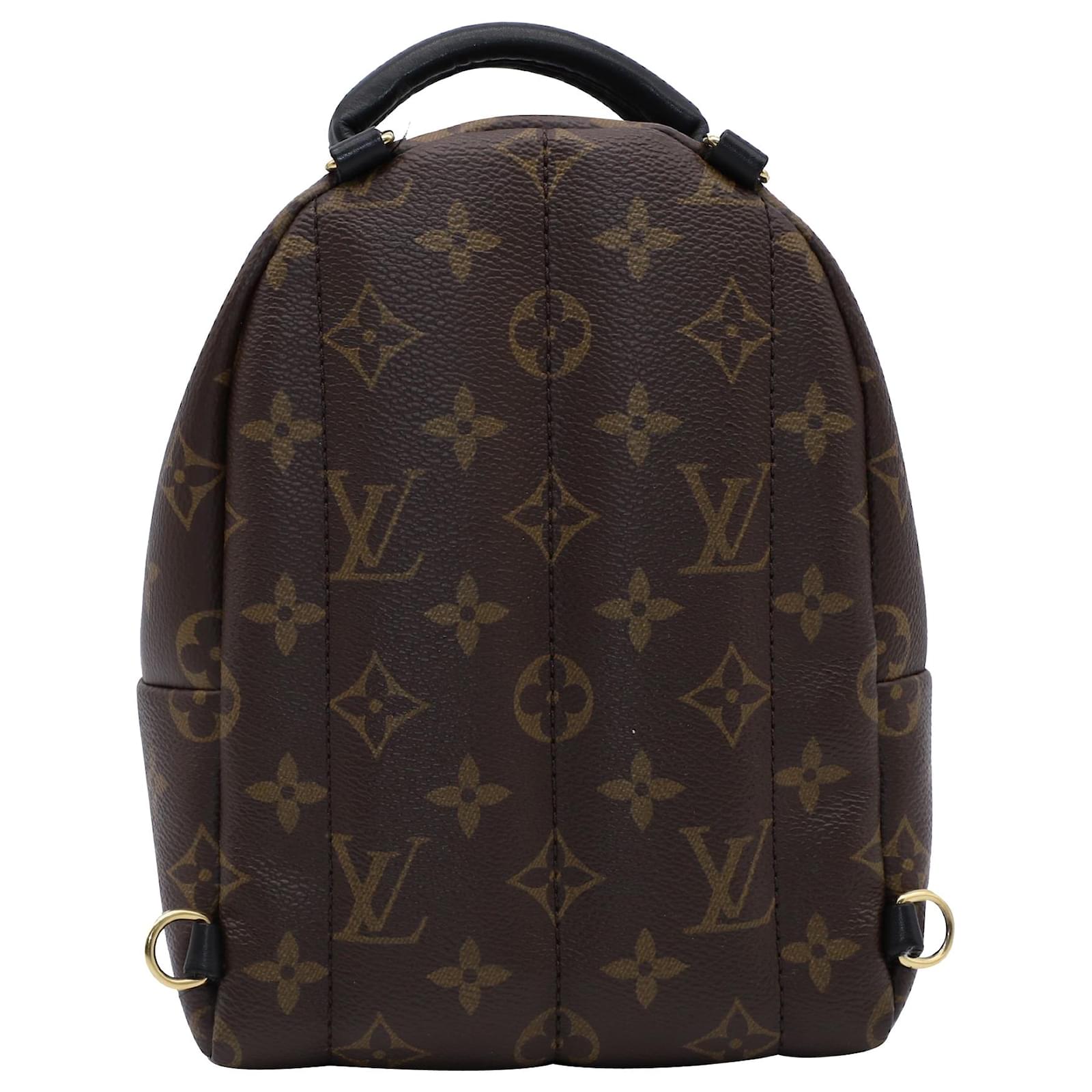 Twist Louis Vuitton Palm Springs Mini Backpack in Brown Leather ref.560910  - Joli Closet