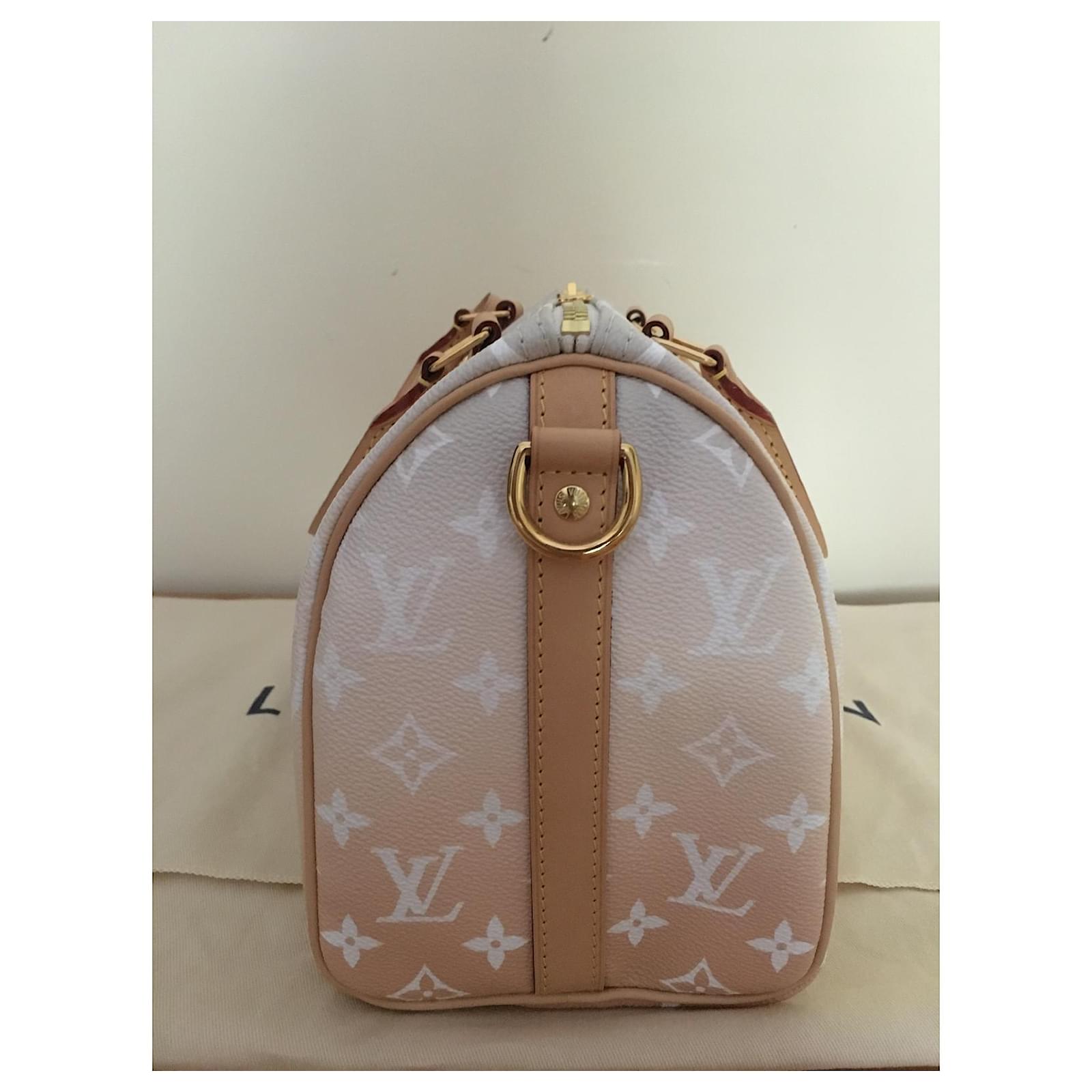Louis Vuitton speedy Bandouliere 25 By the Pool Capsule Collection Multiple  colors Leather Cloth ref.563442 - Joli Closet