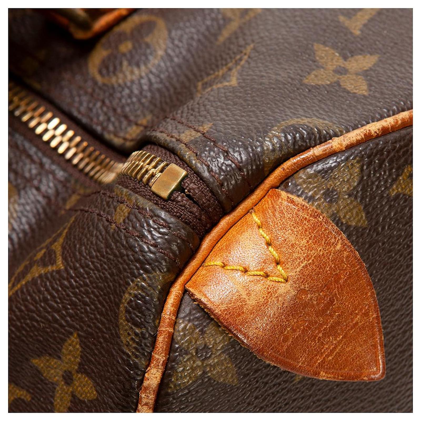 Louis Vuitton Speedy monogram 30 Brown ref.566918 - Joli Closet