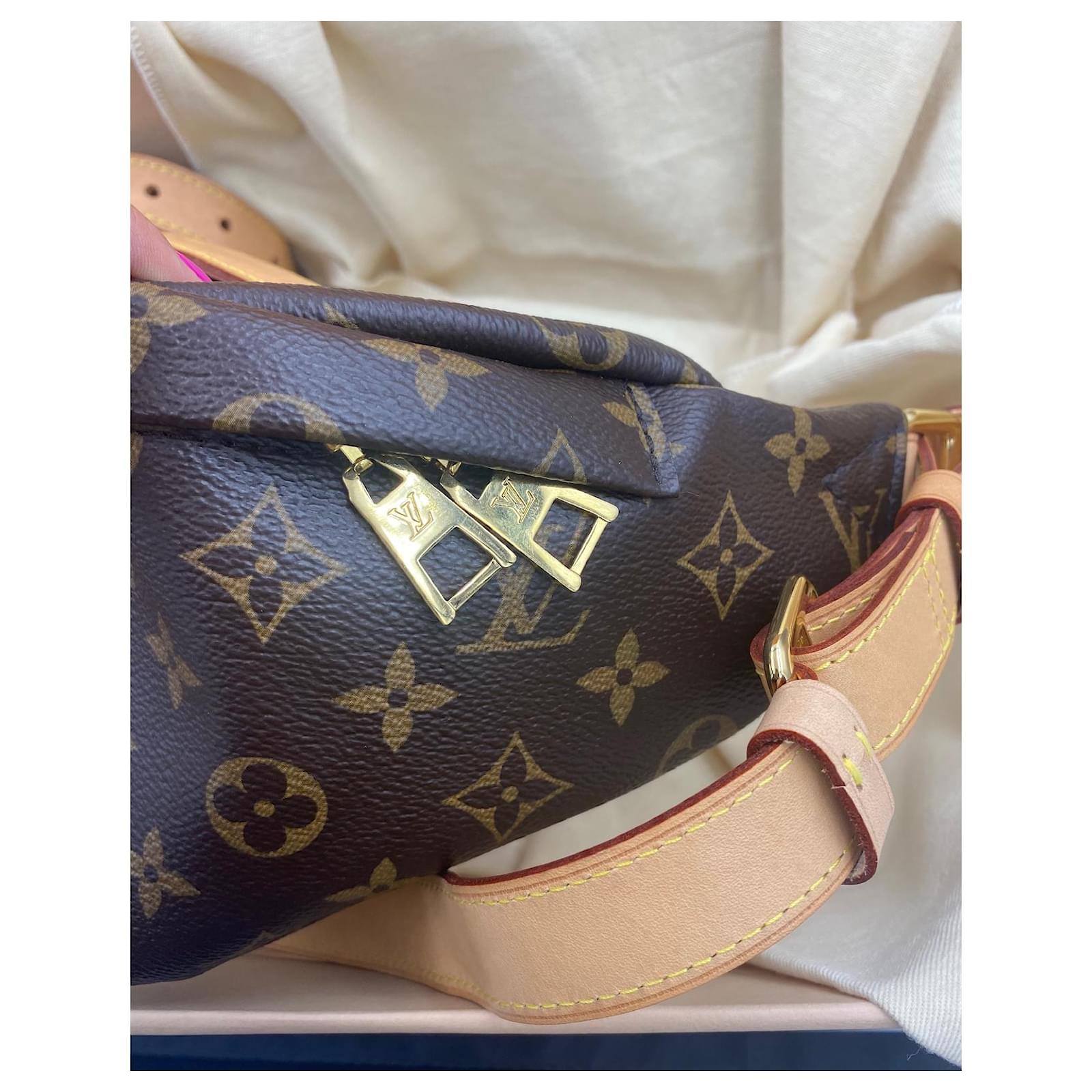 Louis Vuitton Bum bag Brown Cloth ref.570429 - Joli Closet