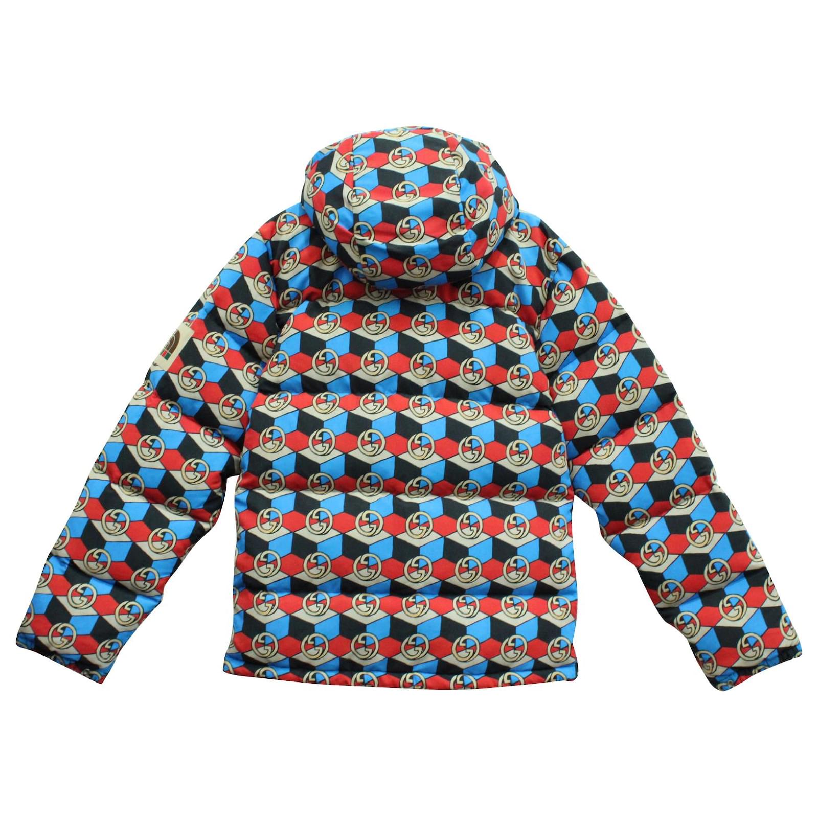 Gucci x North Face Puffer Jacket in Blue Polyamide Multiple colors ...