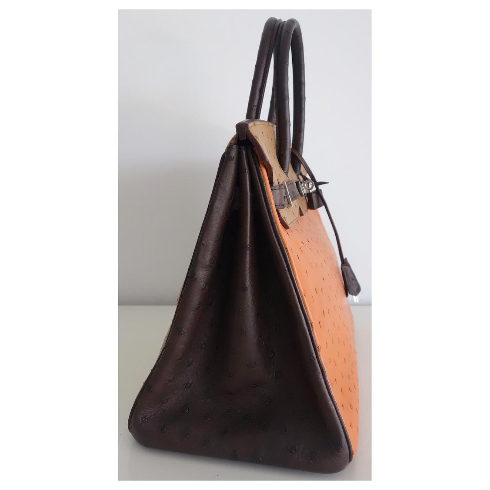 Hermes Handbag Bag ILE DE SHIKI Ostrich Leather Brancasse Chestnut