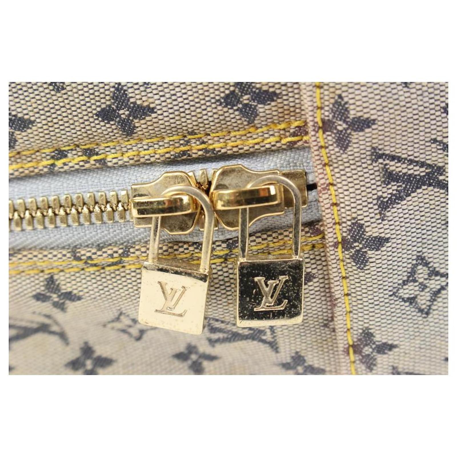 Louis Vuitton Discontinued Navy x Grey Monogram Mini Lin Marie Speedy Bag  Leather ref.577259 - Joli Closet