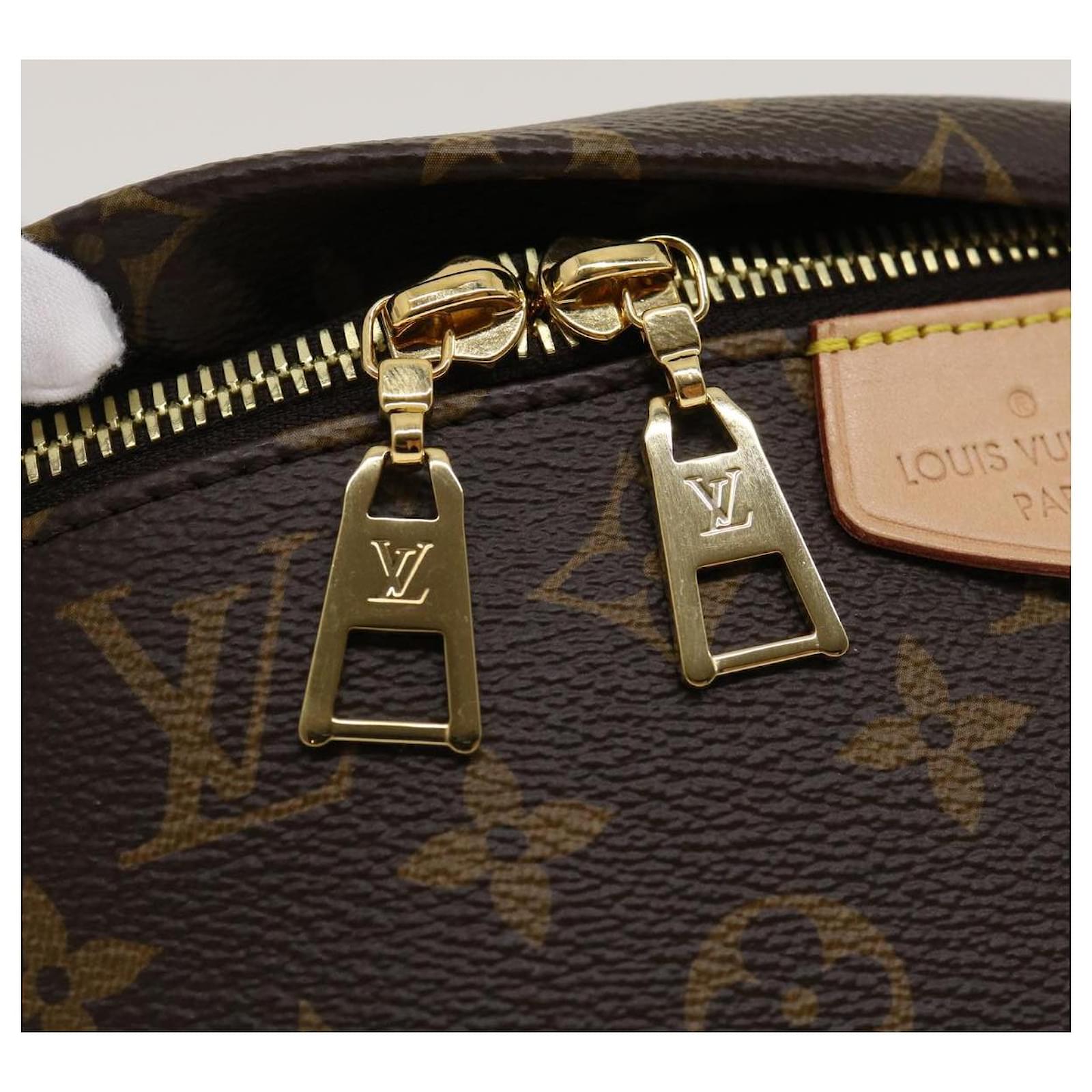 Louis Vuitton M43644 Bumbag Monogram Canvas CA4230, Luxury, Bags