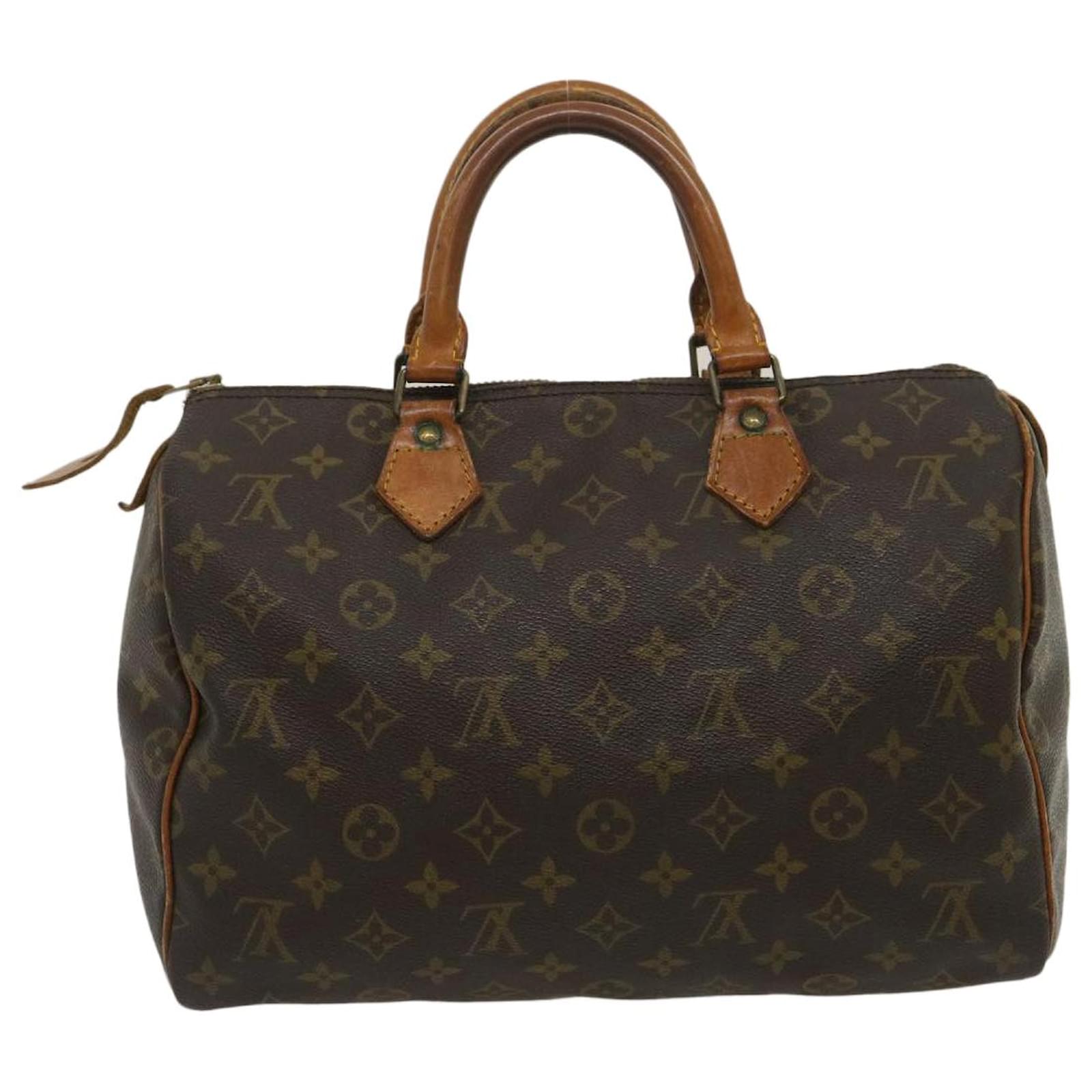 Louis Vuitton Speedy 30 handbag(Castilian Red)