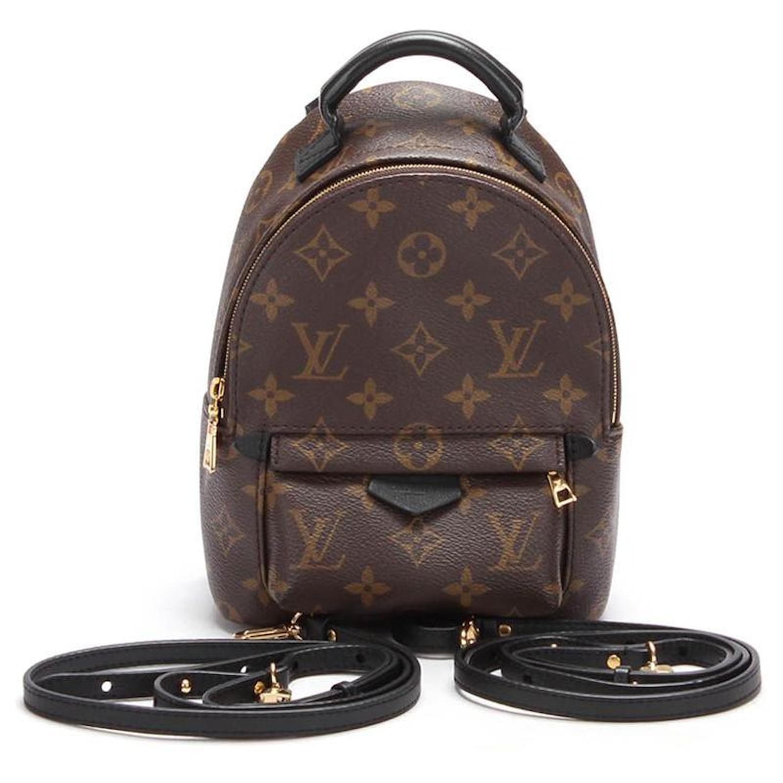 Louis Vuitton Monogram Palm Springs Mini Backpack Brown Cloth ref.592885 -  Joli Closet