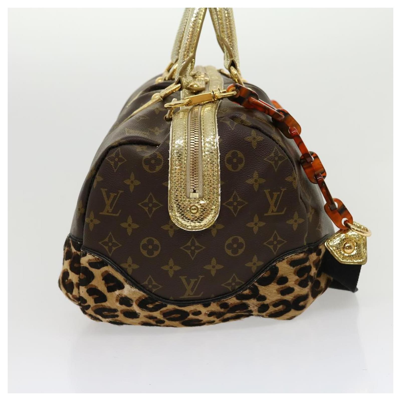 Louis Vuitton, Bags, Louis Vuitton Special Edition Stephen Leopard Gm