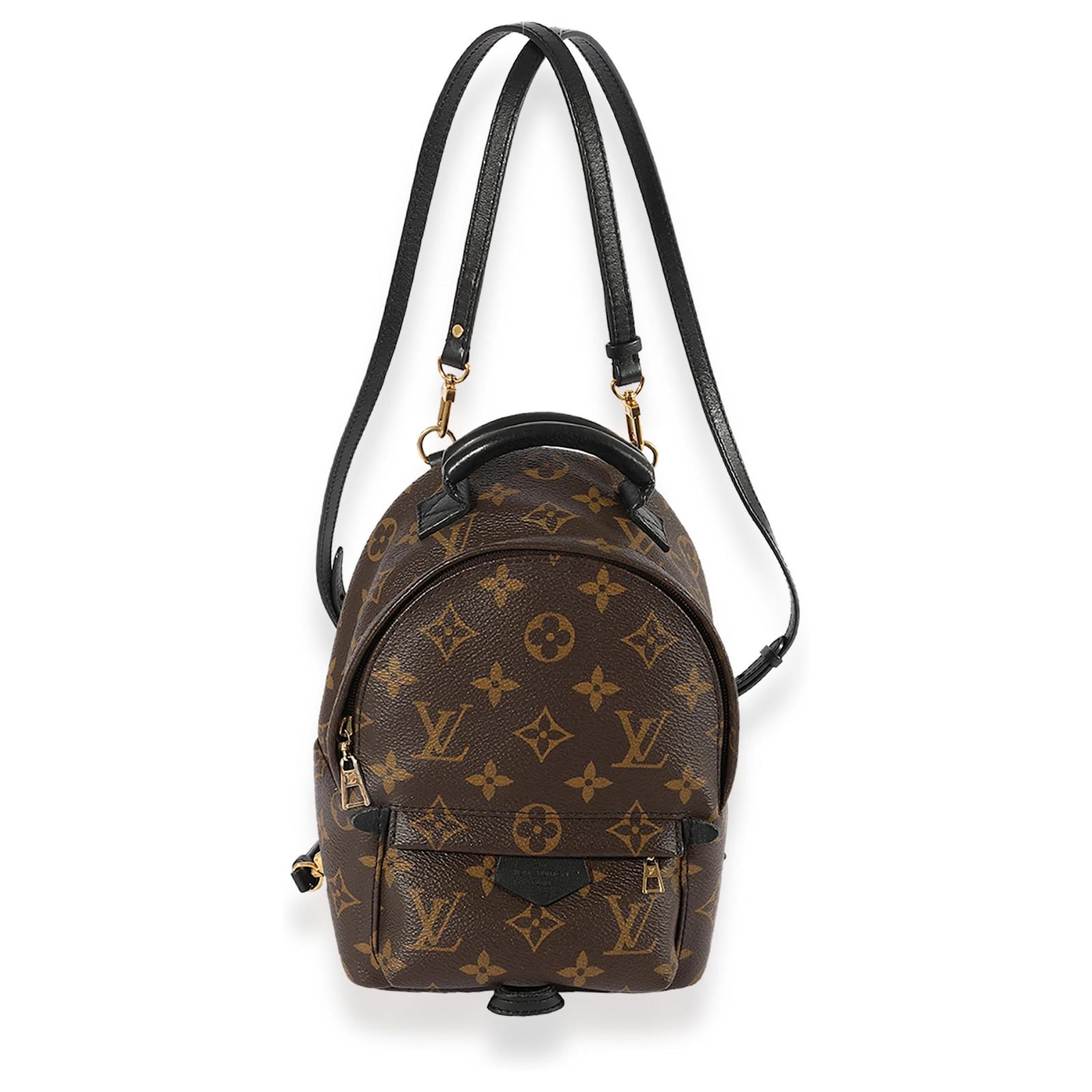 Louis Vuitton Monogram Canvas Palm Springs Mini Backpack Brown ref