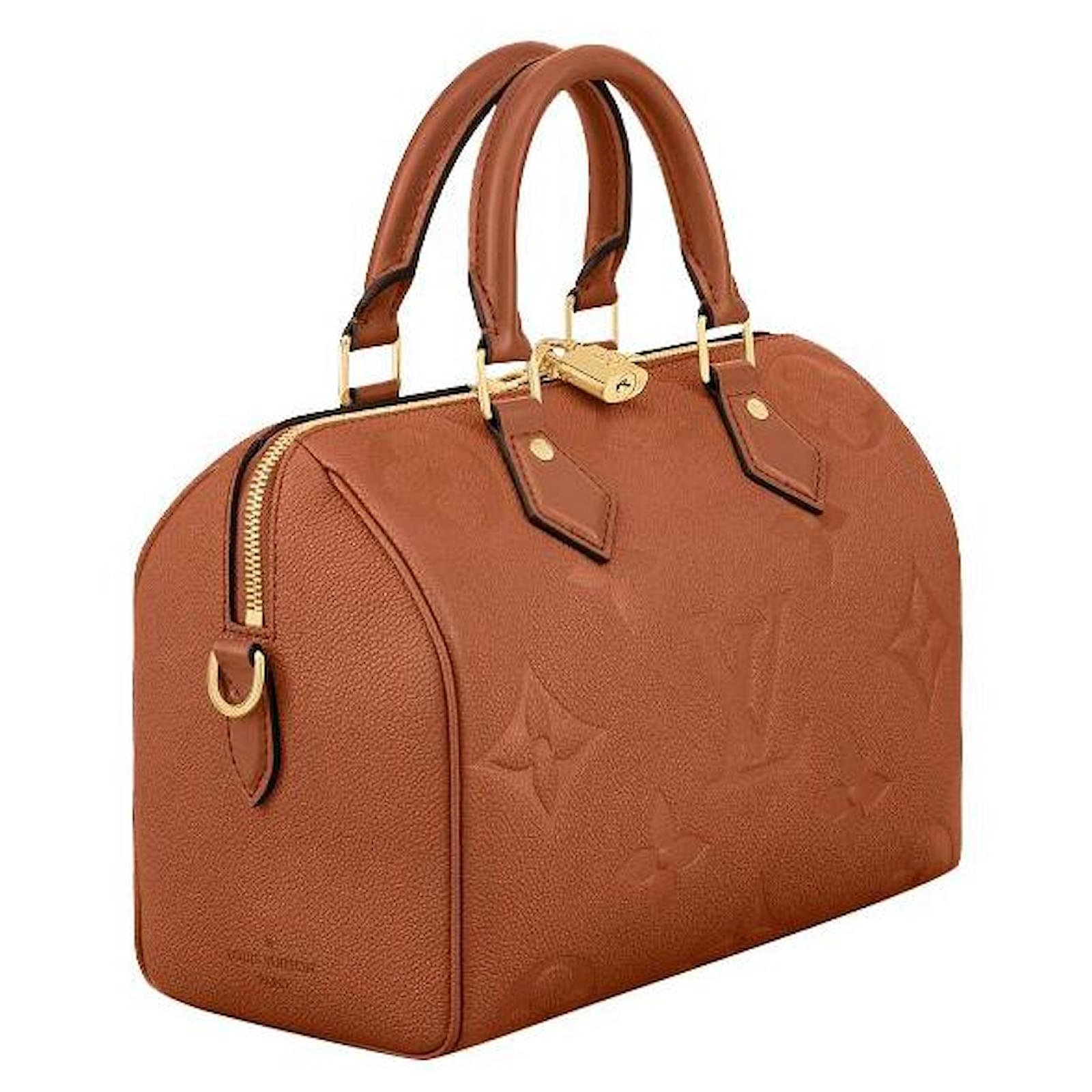 Organisateur De Sac à Main B&B – Feutre Beige – Pour LV Speedy 25, Joli BB – Neuf