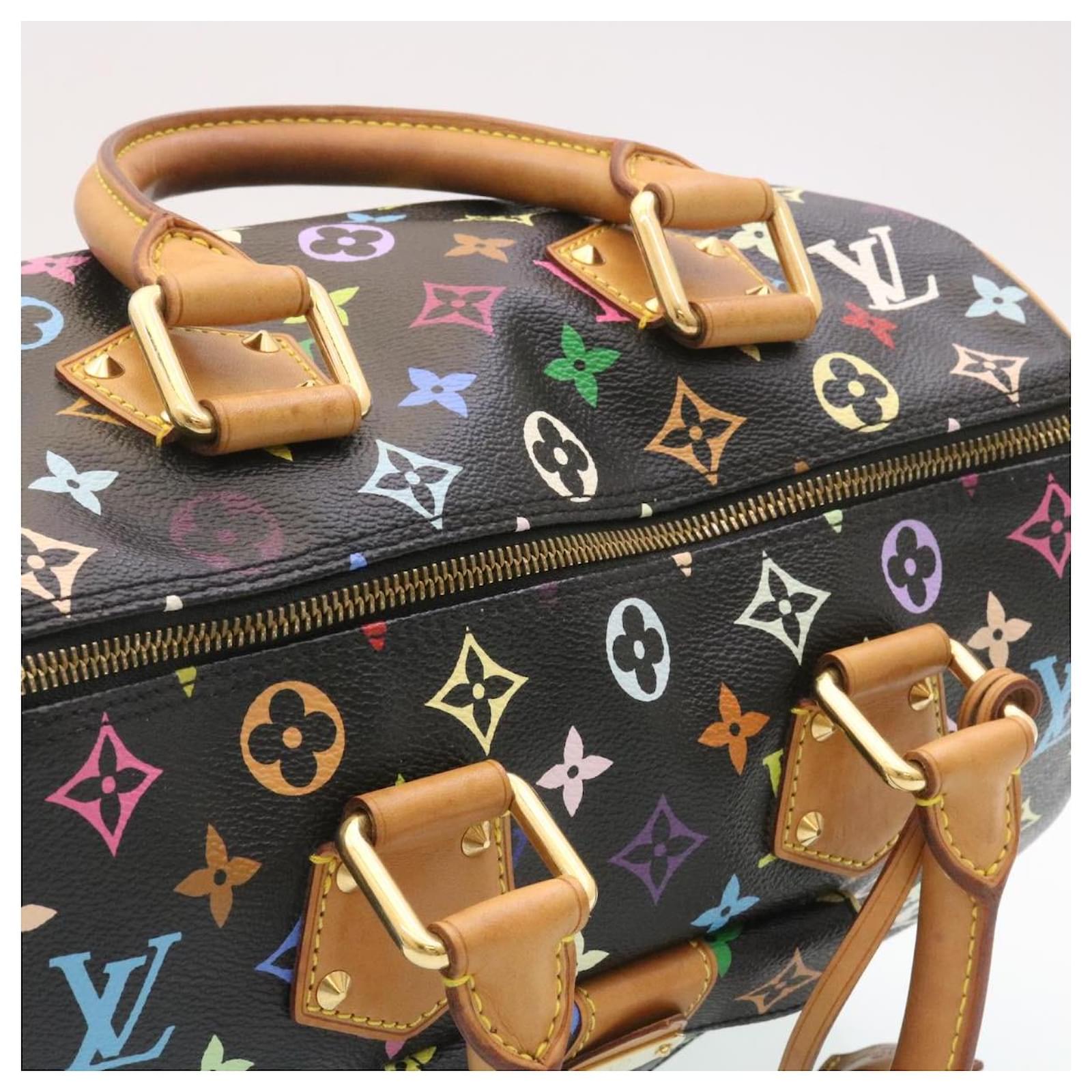 Louis Vuitton multicolor Speedy 30 Hand Bag M92642 LV Auth 28793a Black  ref.635932 - Joli Closet