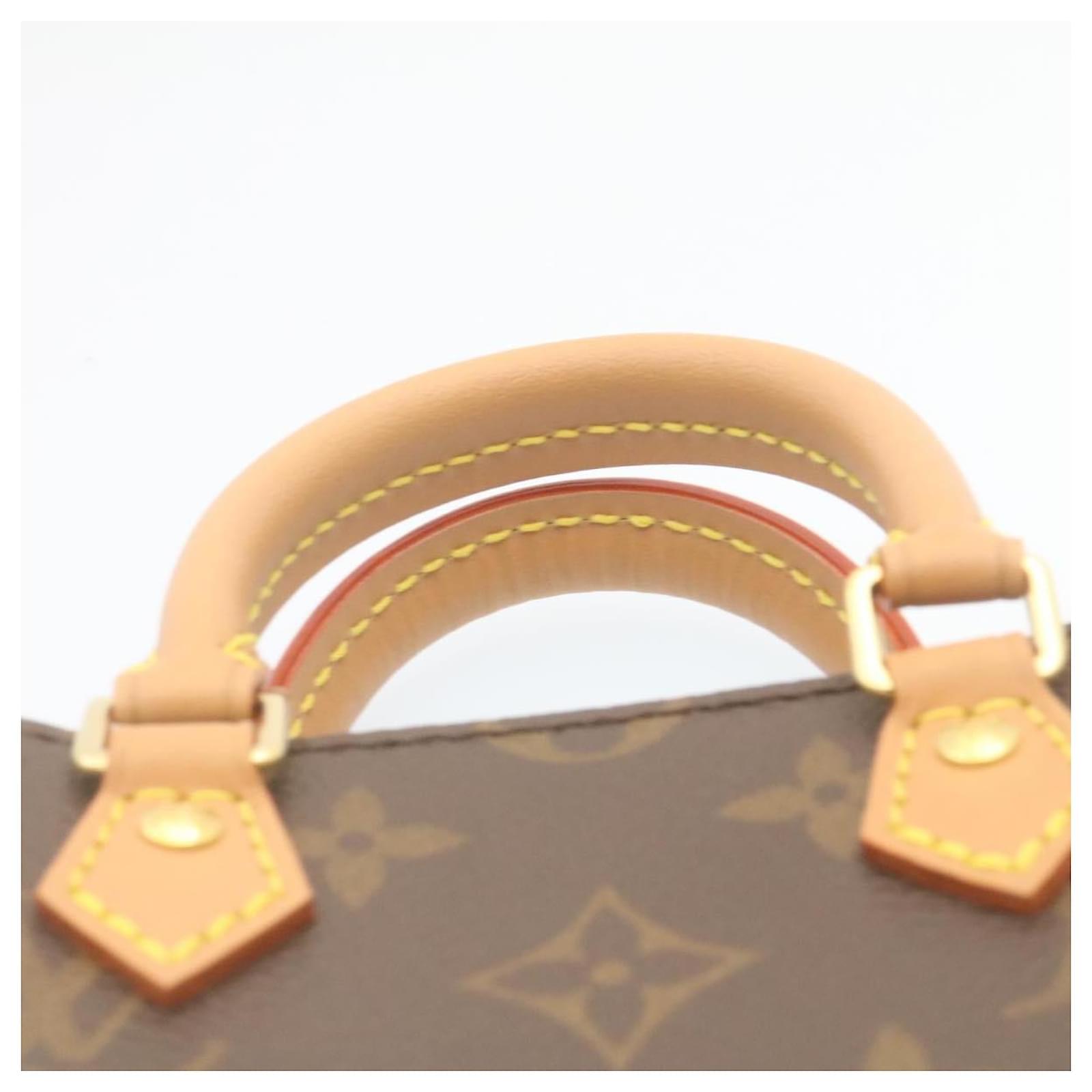 LOUIS VUITTON Monogram Petit Sac Plat Hand Bag M69442 LV Auth 29045a Cloth  ref.635966 - Joli Closet