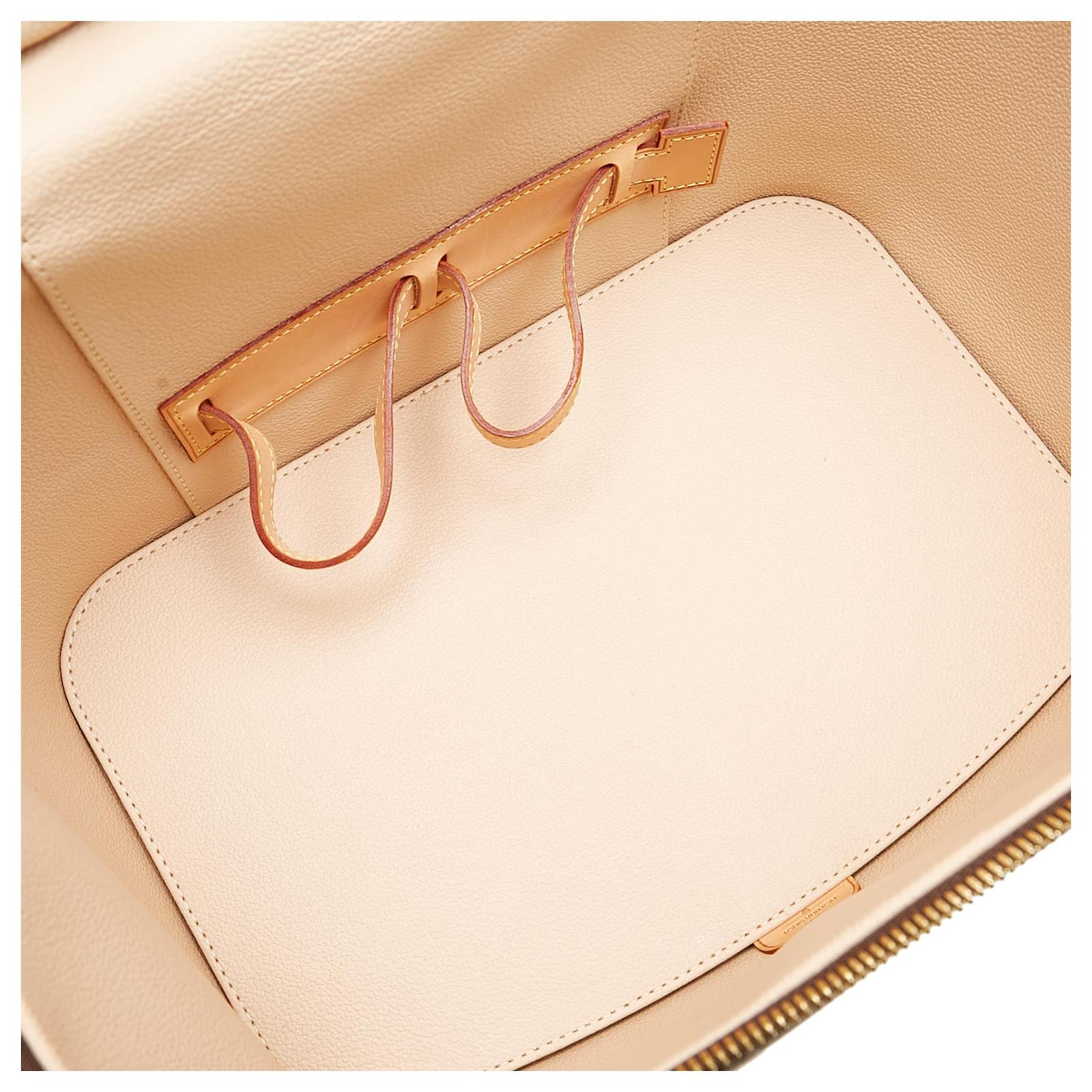 Cannes Louis Vuitton Brown Monogram Nice Vanity Case Cloth ref.637316 -  Joli Closet