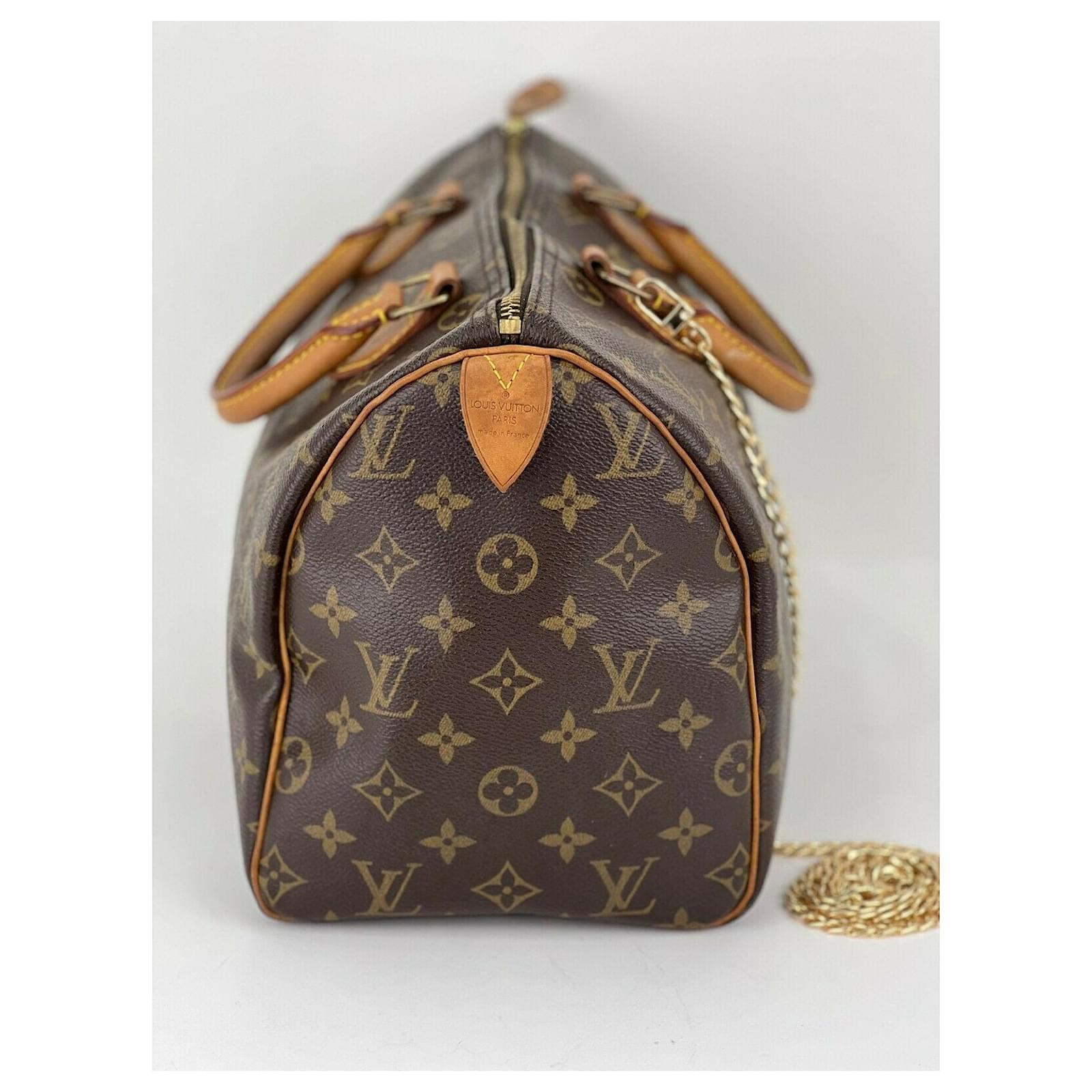 Louis Vuitton French Company Speedy Shoulder Bag 30 Brown Canvas Crossbody  Strap