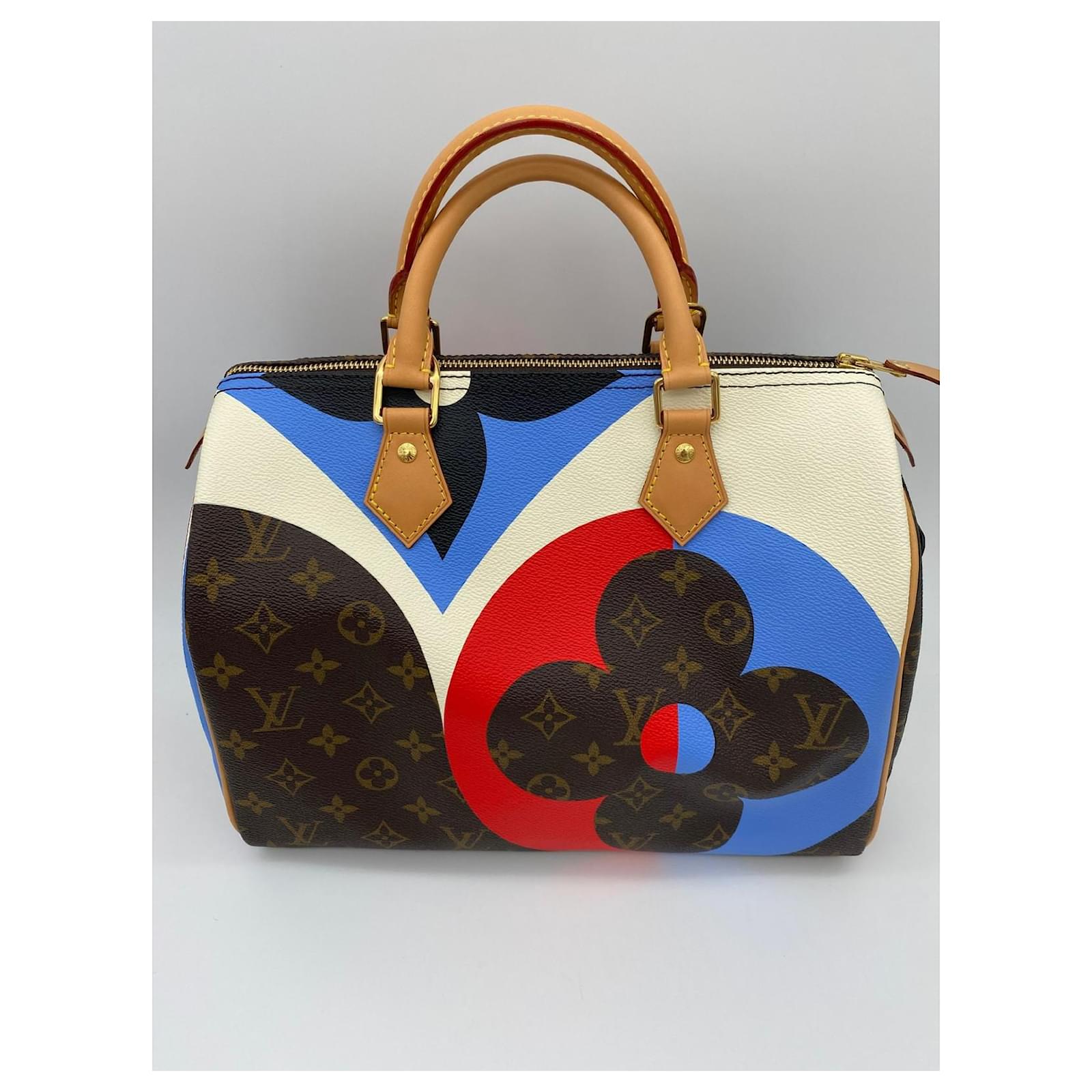 Louis Vuitton Paris Speedy Cube Bag Embossed Leather 30