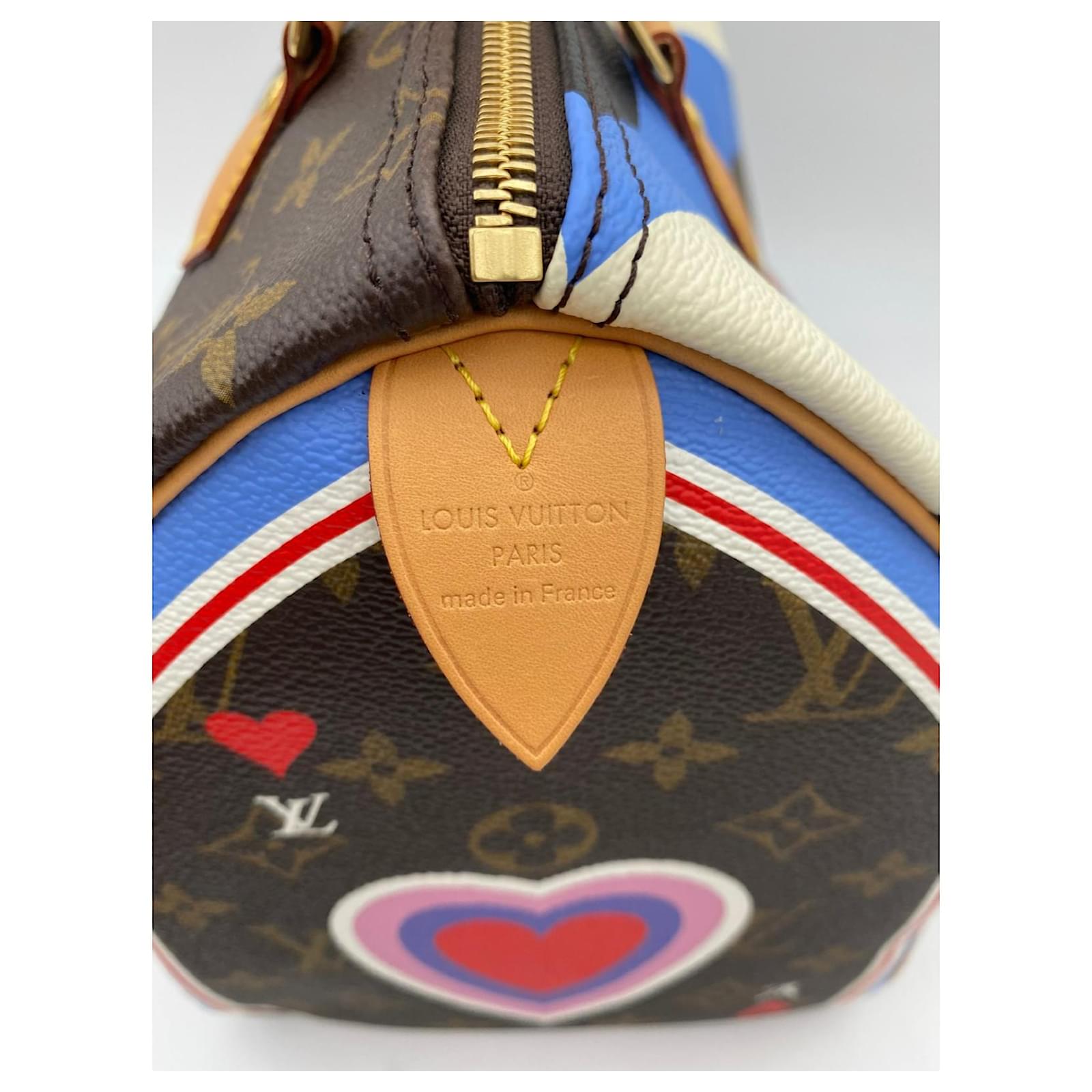 Louis Vuitton Speedy Fringed 25 Multicolor Takashi Murakami Limited
