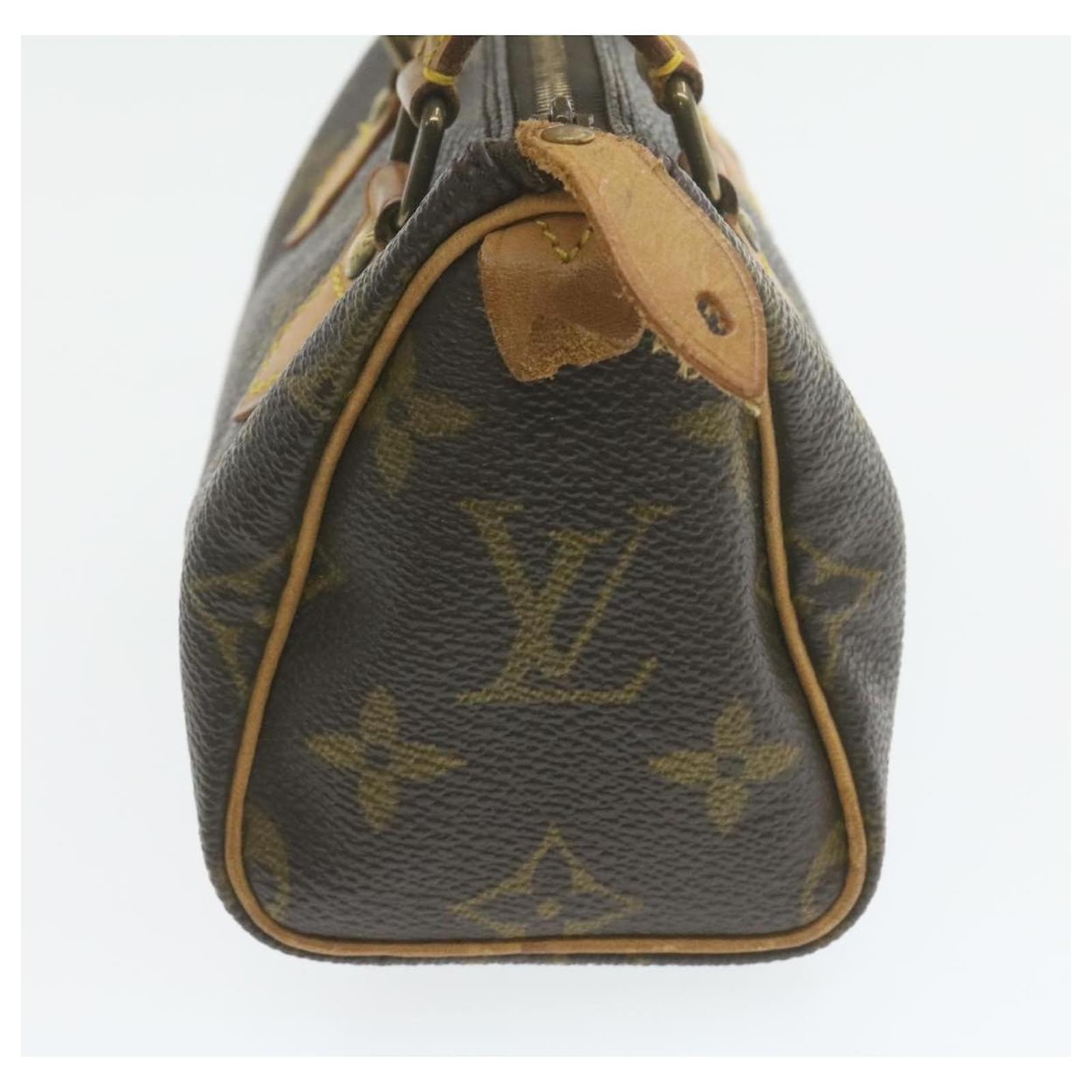 Speedy cloth handbag Louis Vuitton Brown in Cloth - 25093535