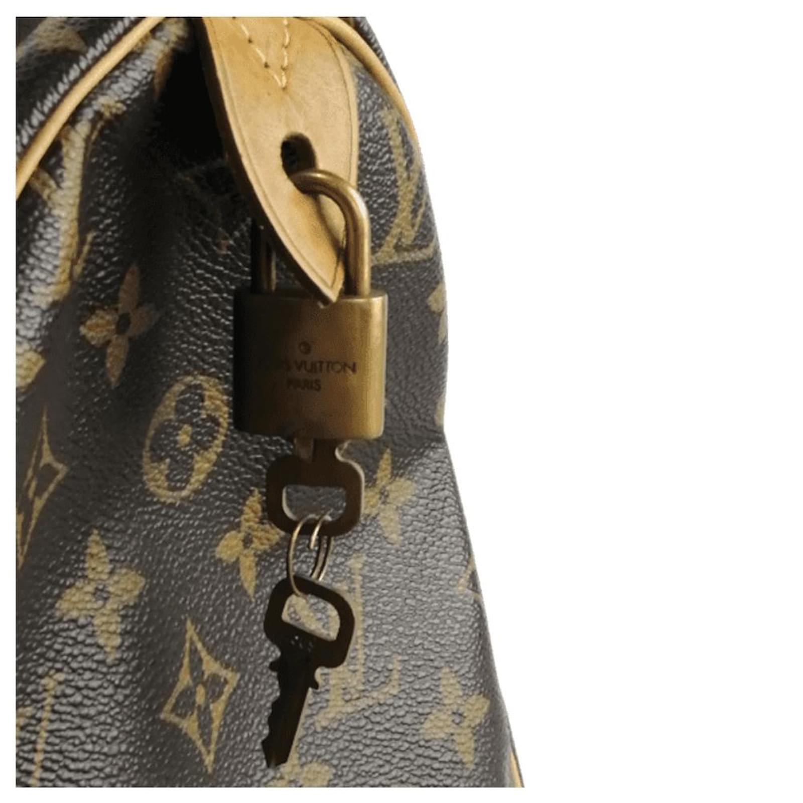 Louis Vuitton Speedy, Excellent condition. Chestnut Leather ref.660532 -  Joli Closet