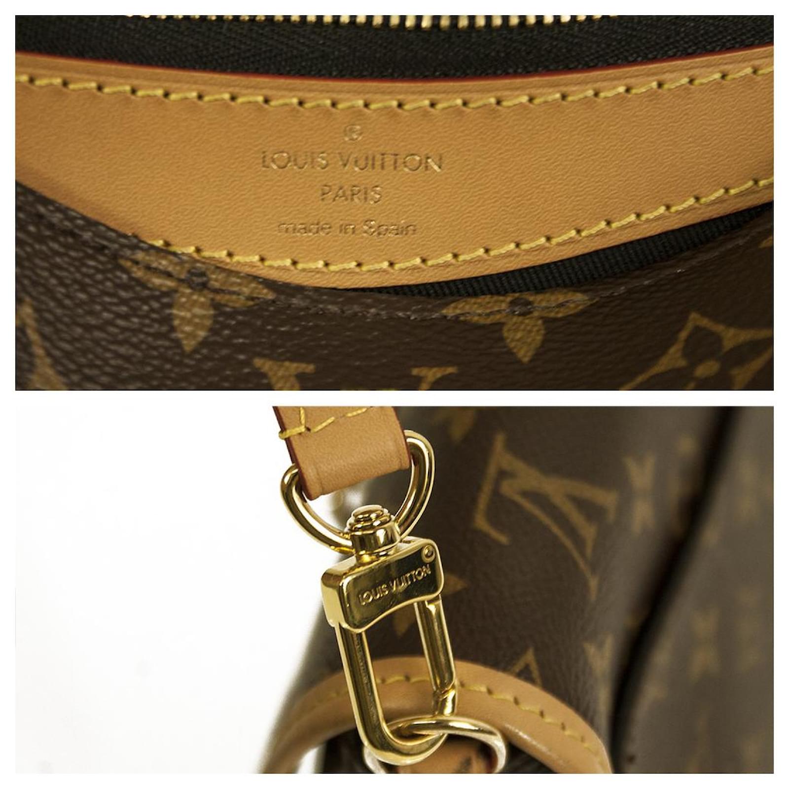 Louis Vuitton, Bags, Louis Vuitton Diane Coated Underarm Bag Handheld  Messenger Bag Shoulder Bag