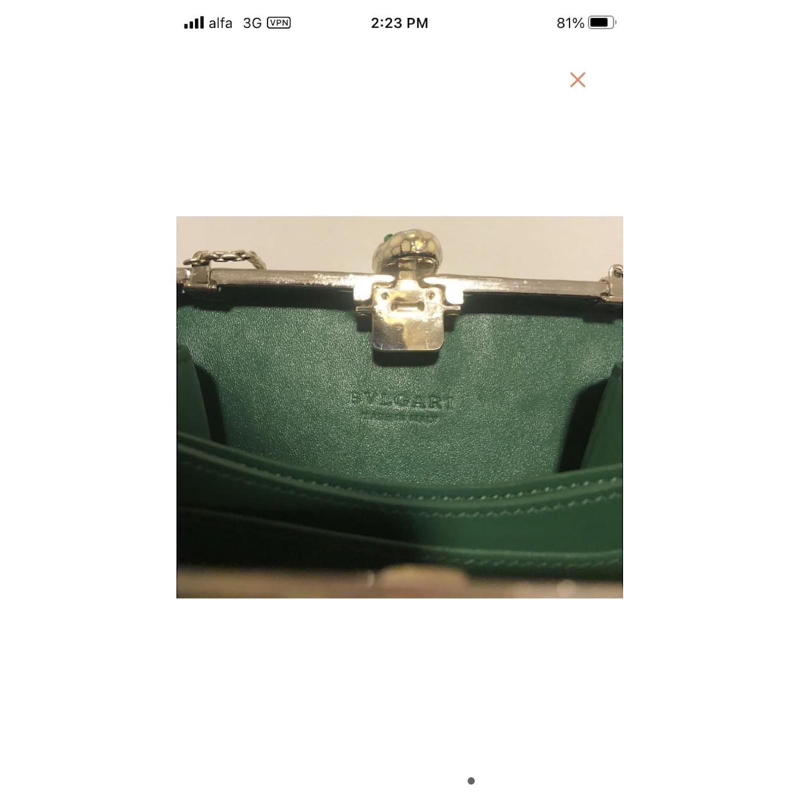 Bulgari Extremely Rare Green Glitter Metallic Enamel and Silver Bvlgari  Serpenti Minaudière Hard Clutch Case Handbag Glass ref.662789 - Joli Closet